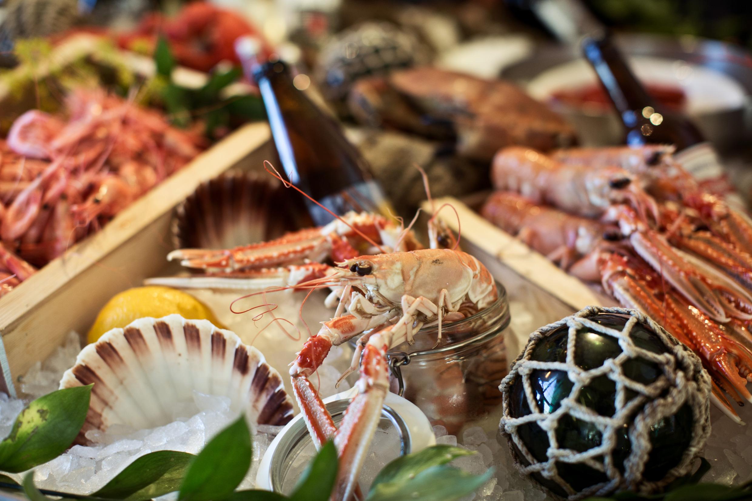Seafood in trays and glass jars on ice, decorated with lemon, green leaves and shells.