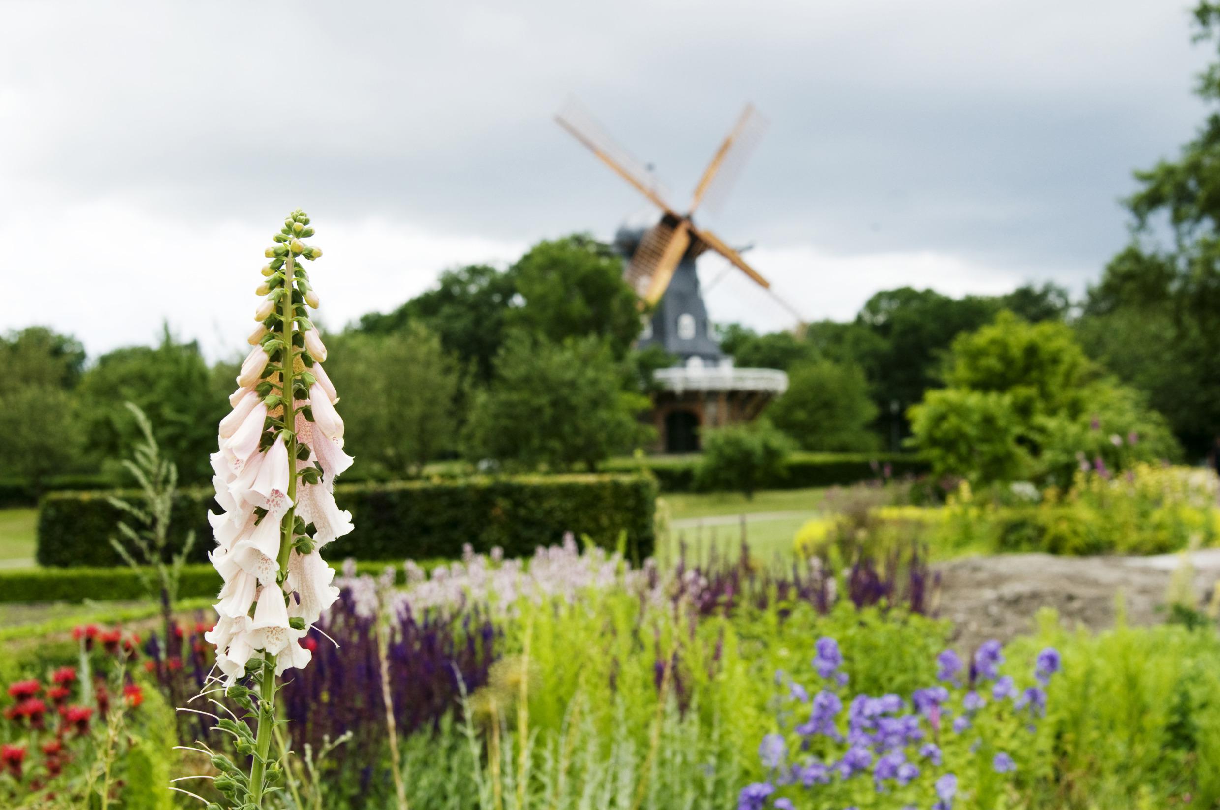 Vue sur de la verdure et des fleurs. Il y a un moulin en arrière-plan.
