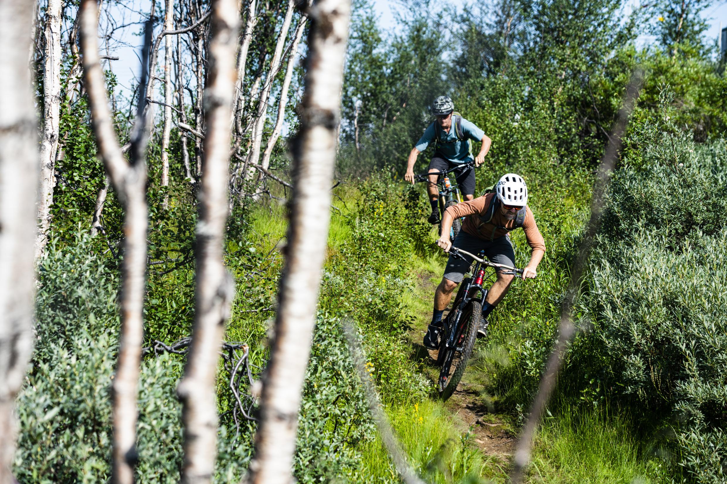 Mountainbiken in Schwedisch Lappland