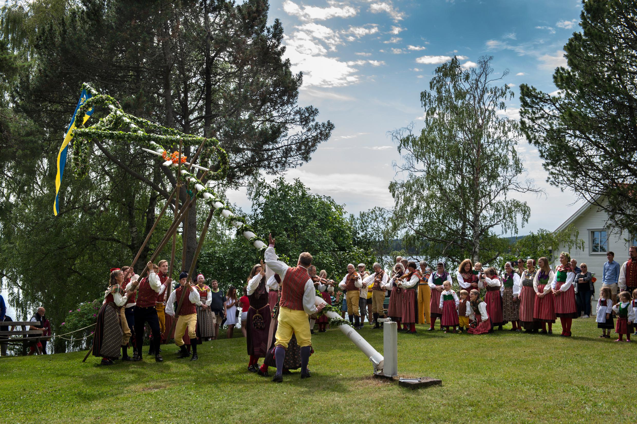 In Trachten gekleidete Menschen stellen in einem Garten einen Maibaum auf. Es sind Menschen versammelt, die zuschauen, und einige spielen auf ihrer Geige.