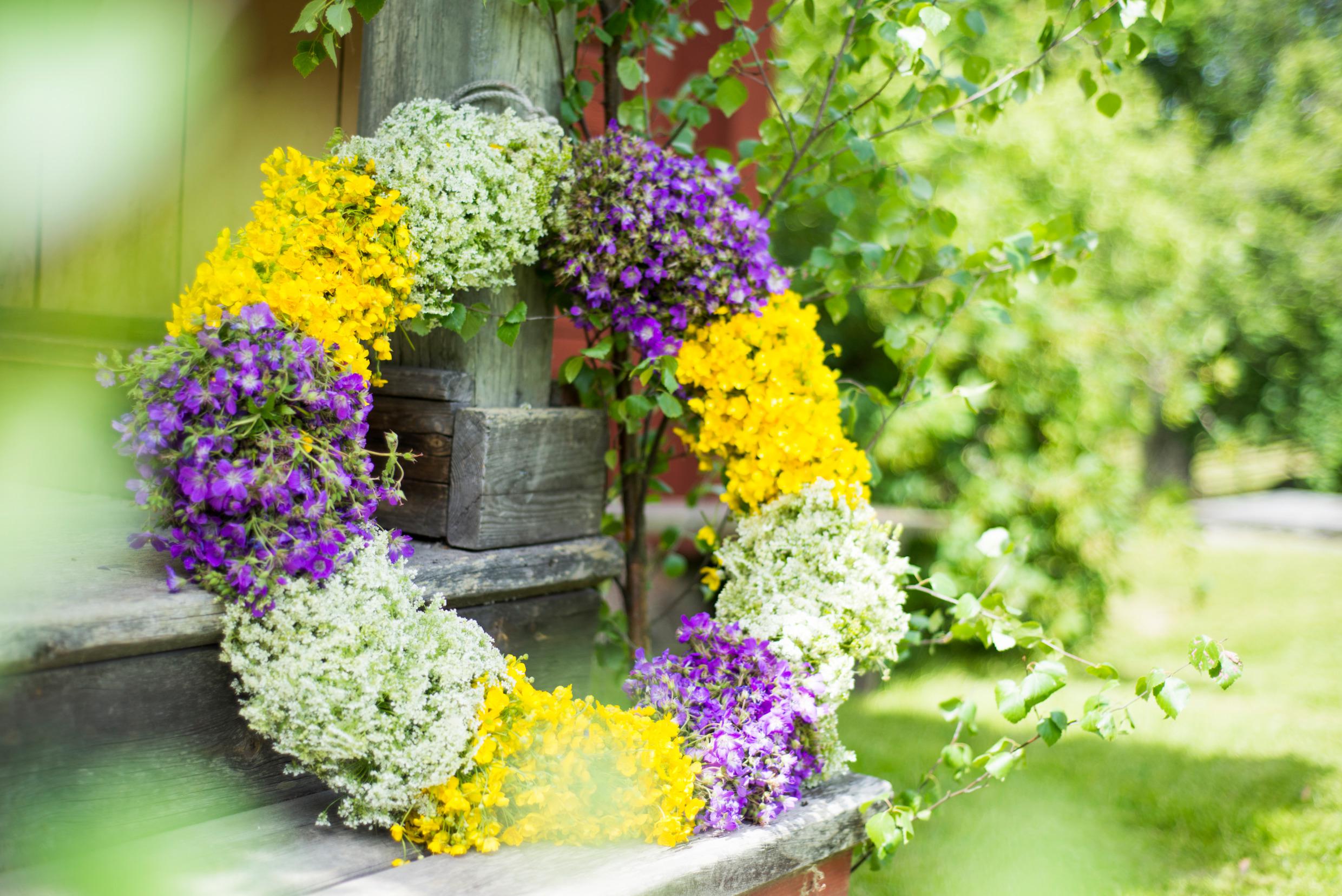 Les fleurs de la Saint-Jean