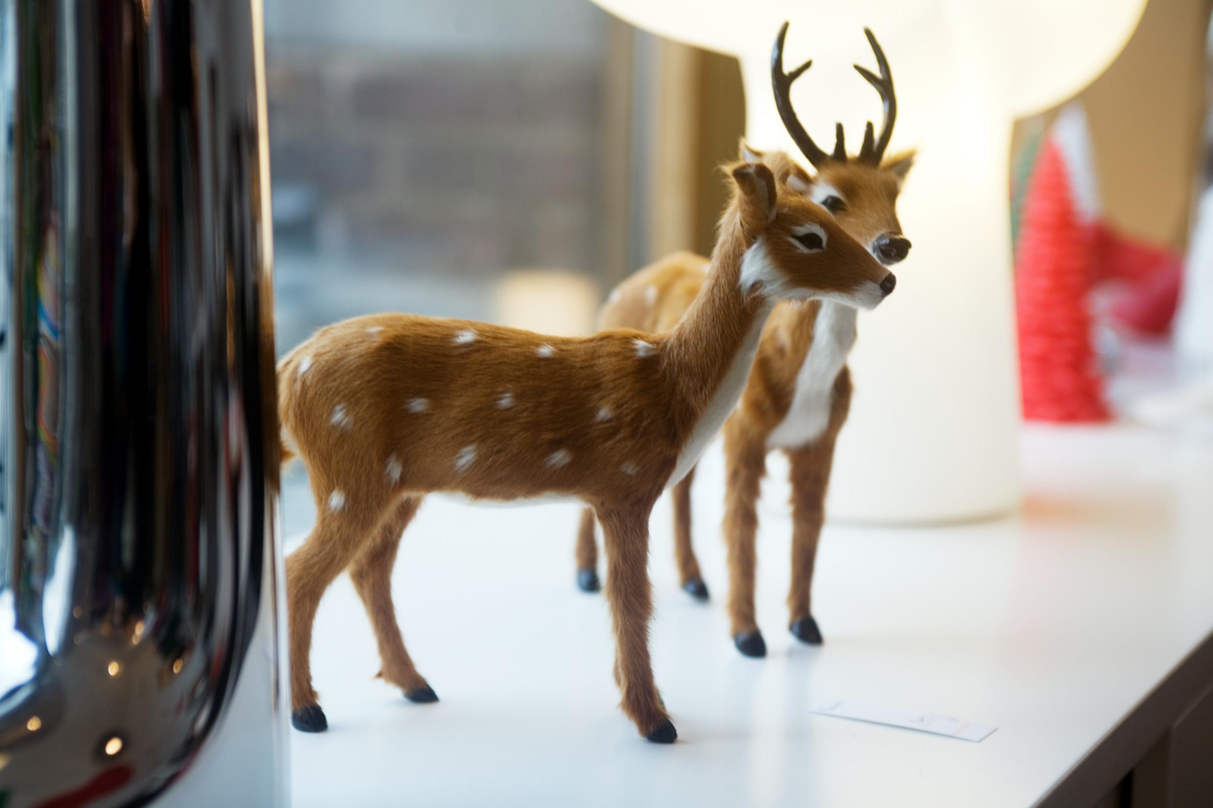 Design shopping in Malmö