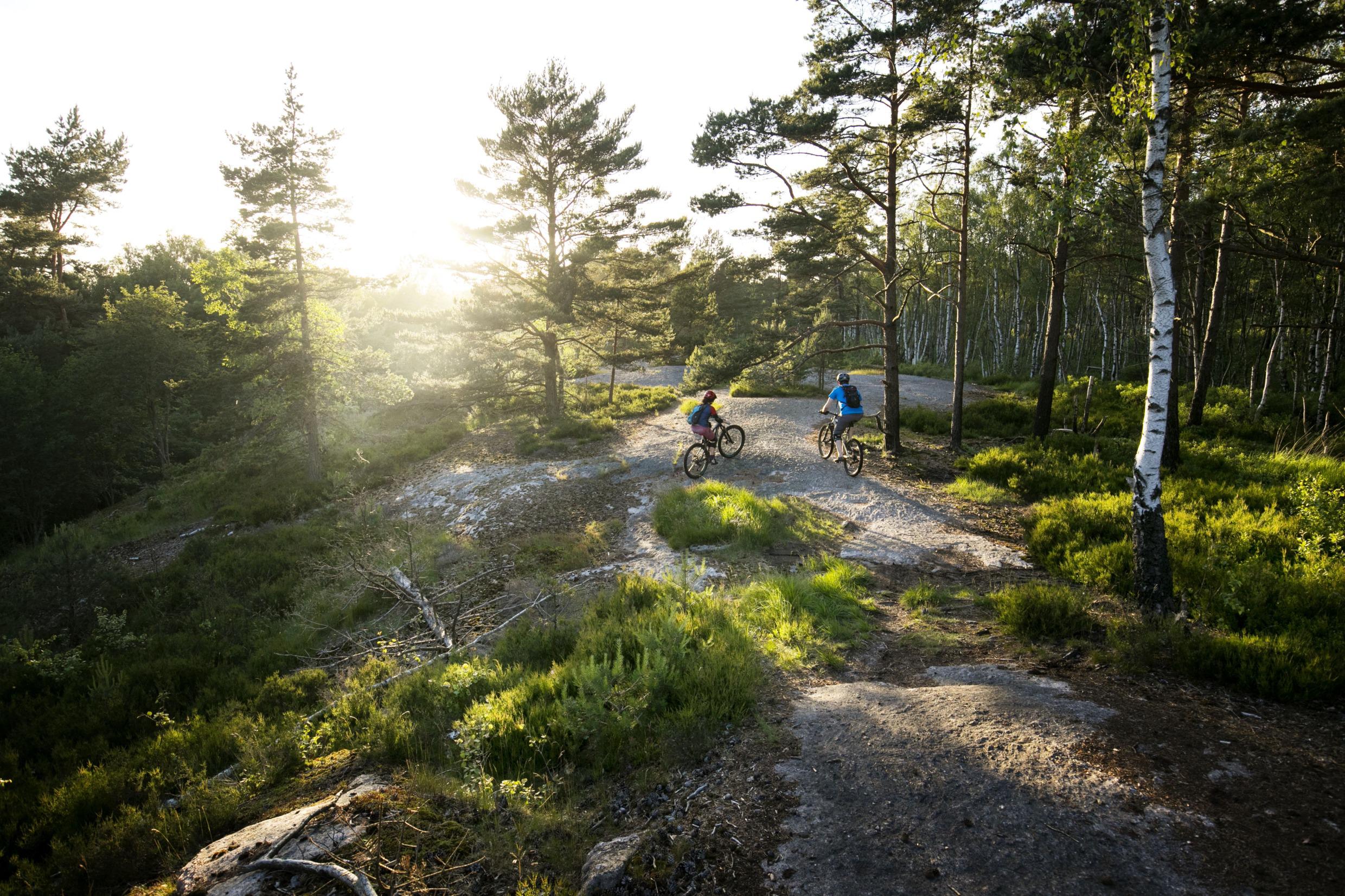 Mountain bike in Delsjön, Gothenburg