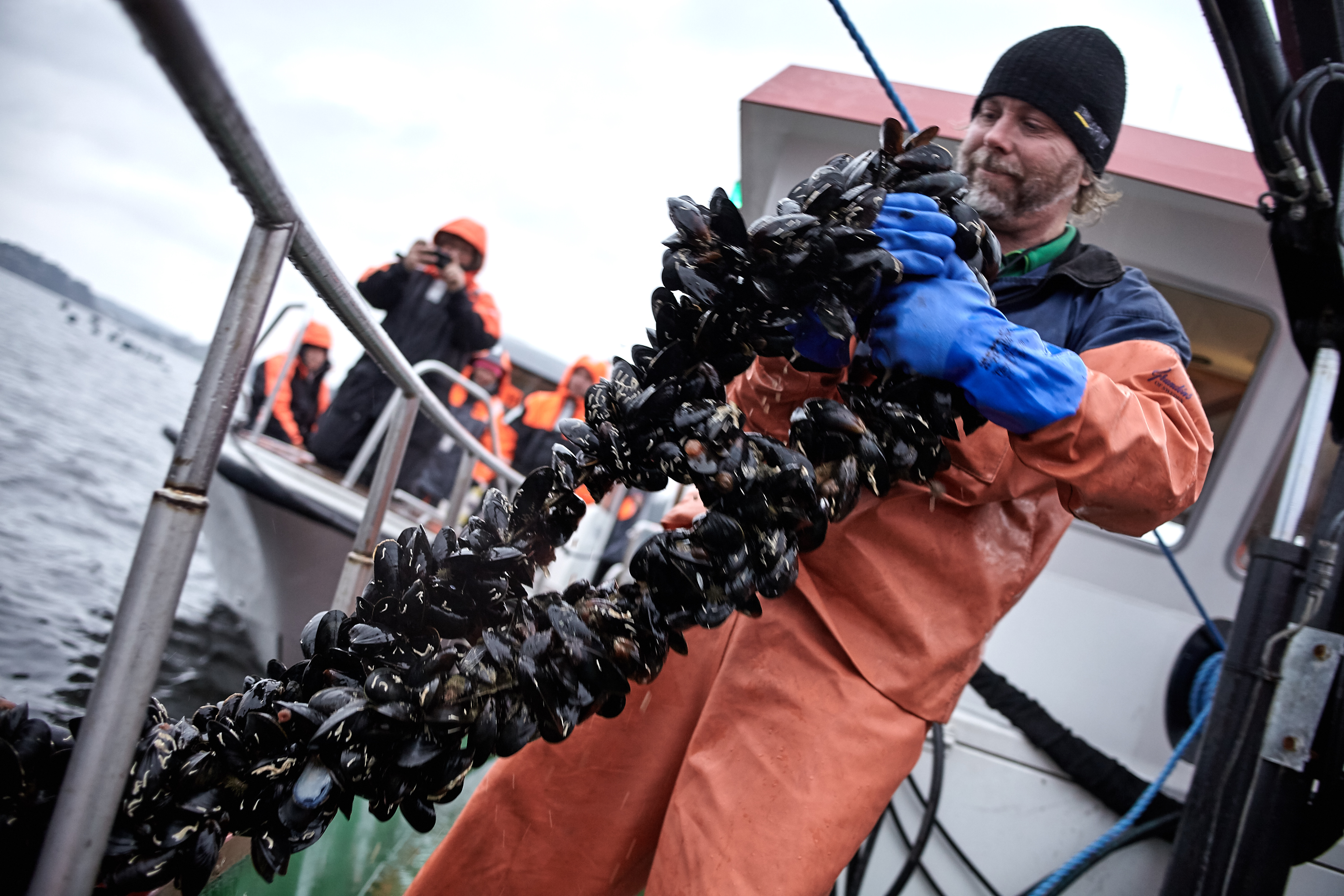 Een gids die mosselen aan boord van een boot haalt tijdens een rondleiding op een mosselkwekerij voor de westkust van Zweden, terwijl bezoekers toekijken.