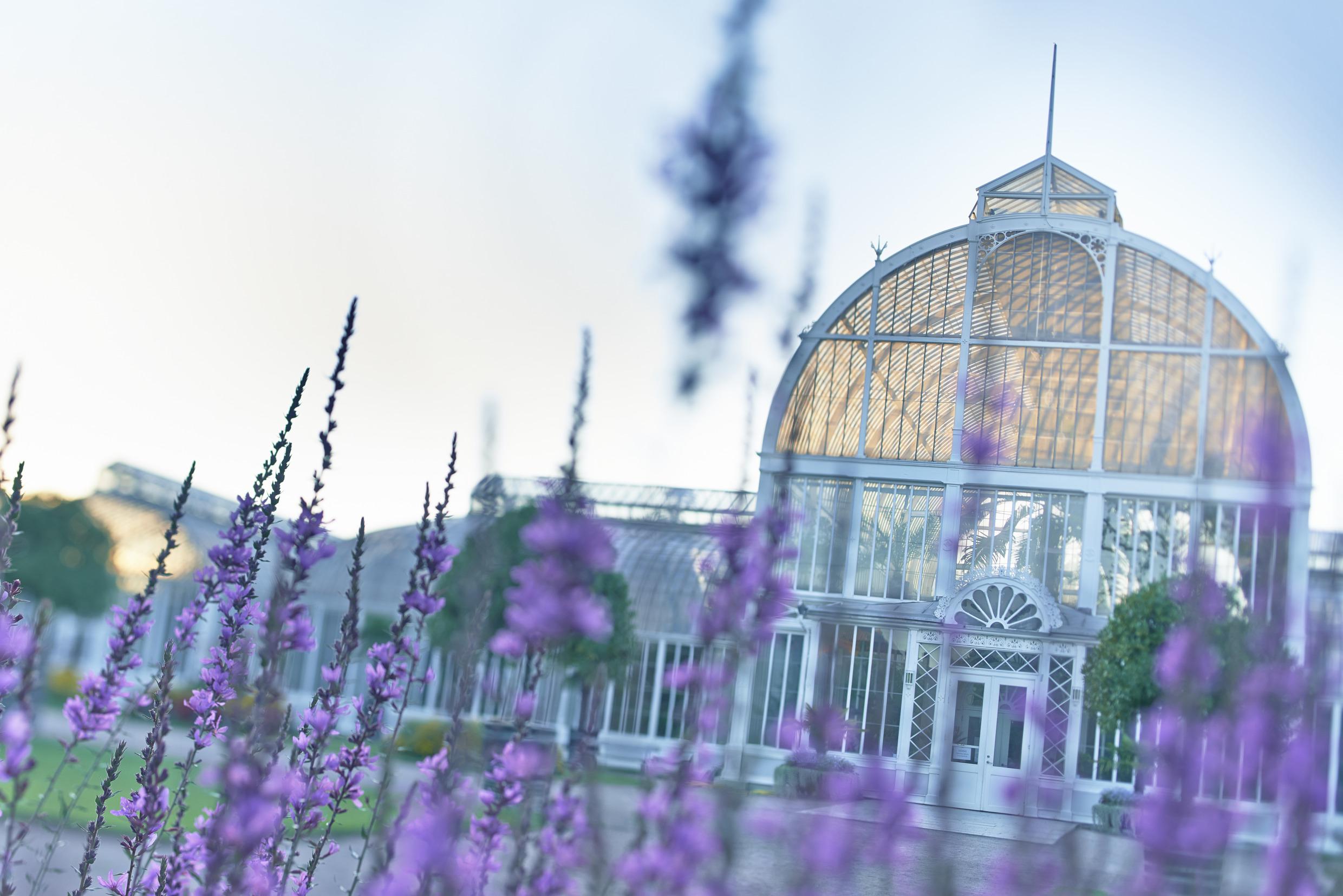 La Société des Parcs à Göteborg