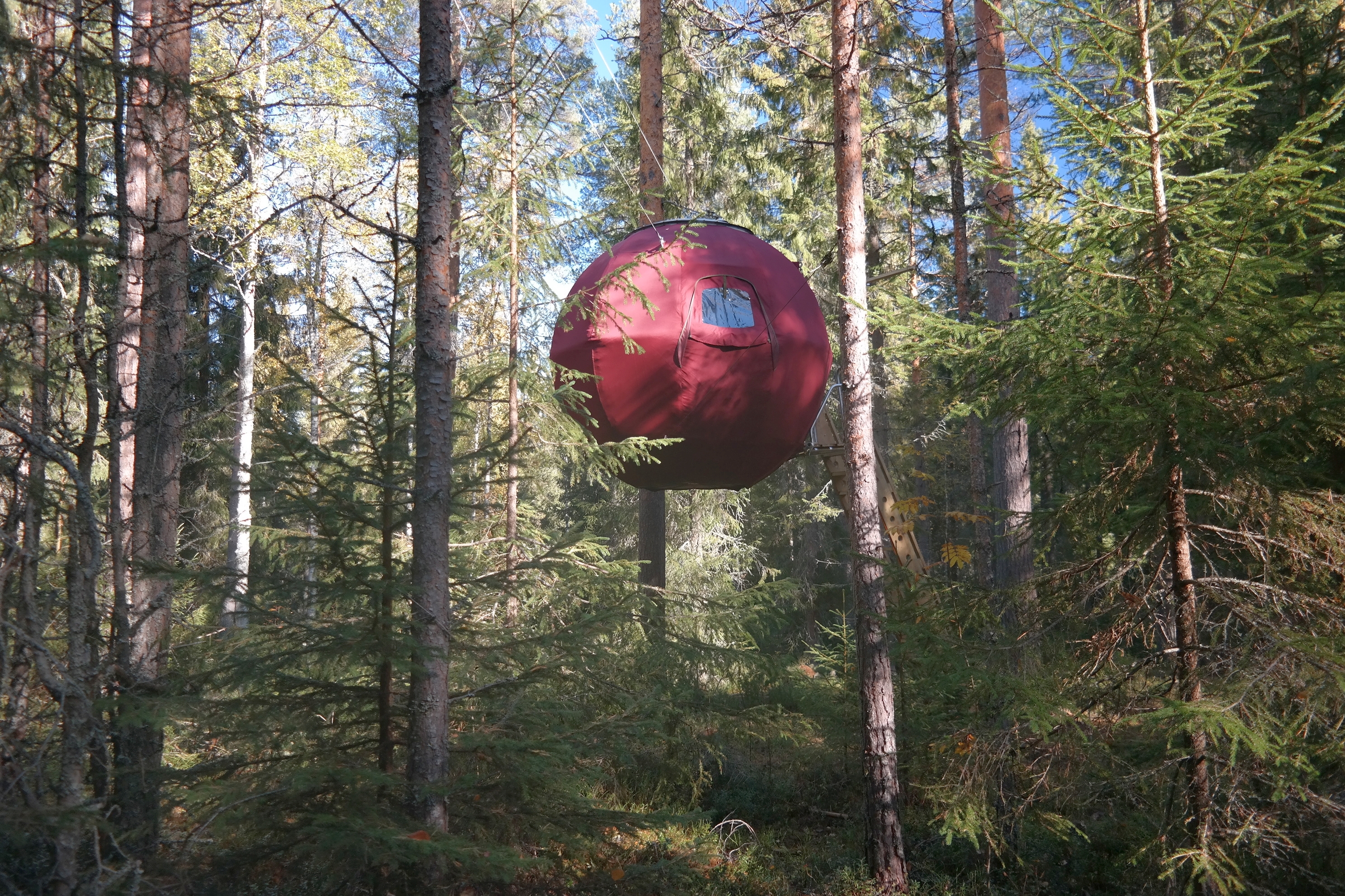 A round red cottage hanging among trees in a forest.