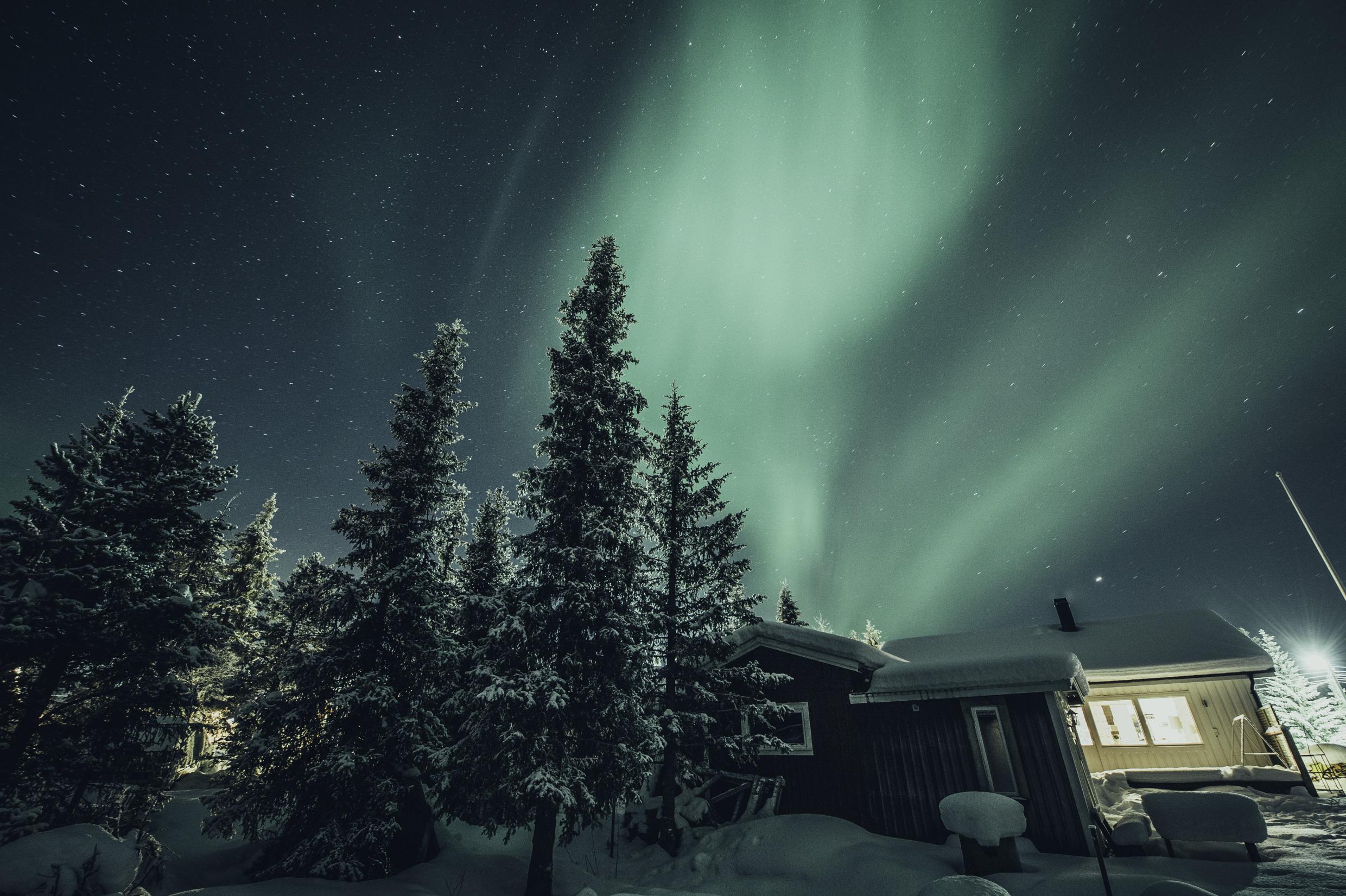 Grünliches Paolarlicht tanzt am winterlichen, nächtlichen Himmel. Unten ein Haus mit scneedeckten Tannen.