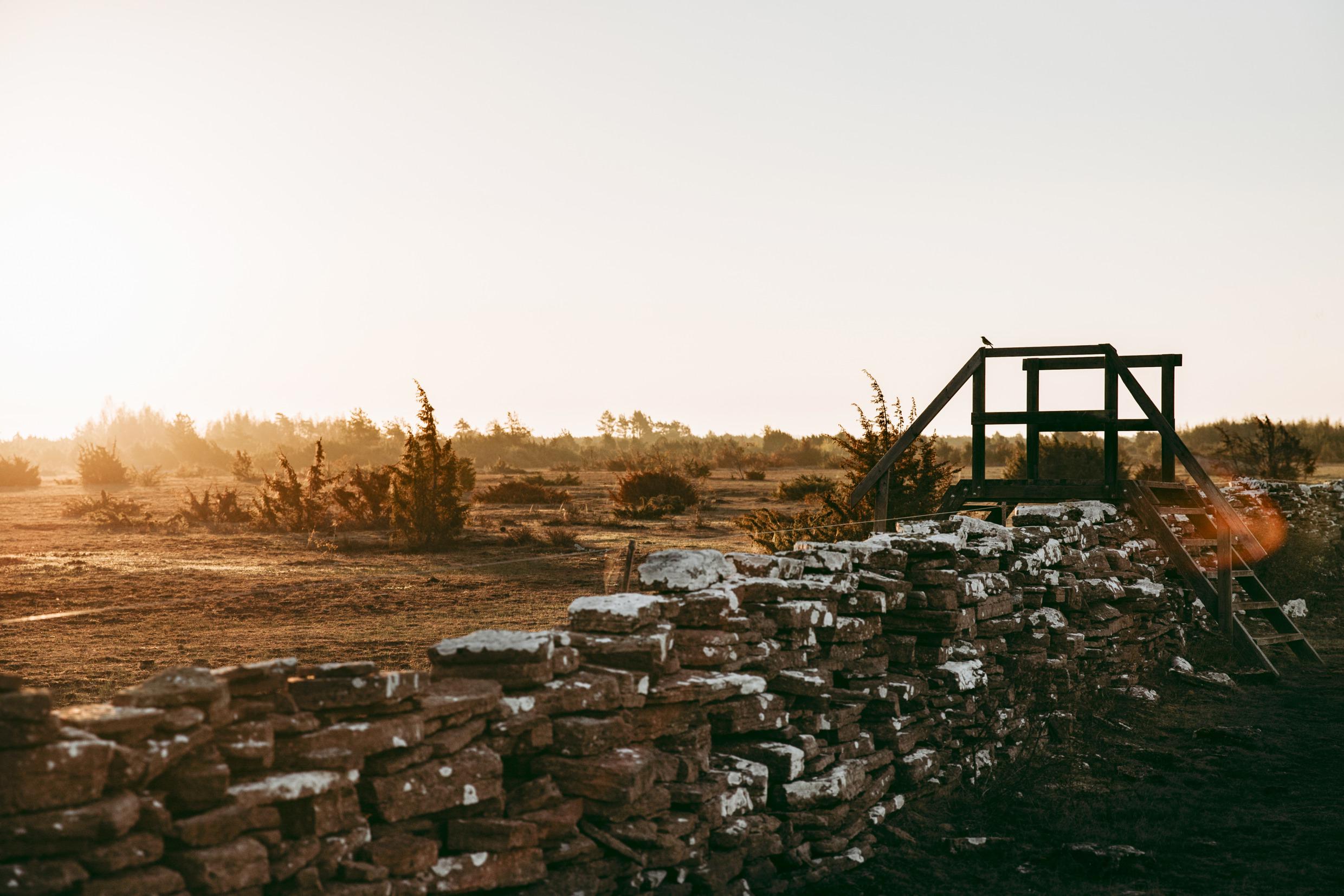 Een trap over een muur bij de Grote Alvar, een kaal kalkstenen terras, op het eiland Öland.