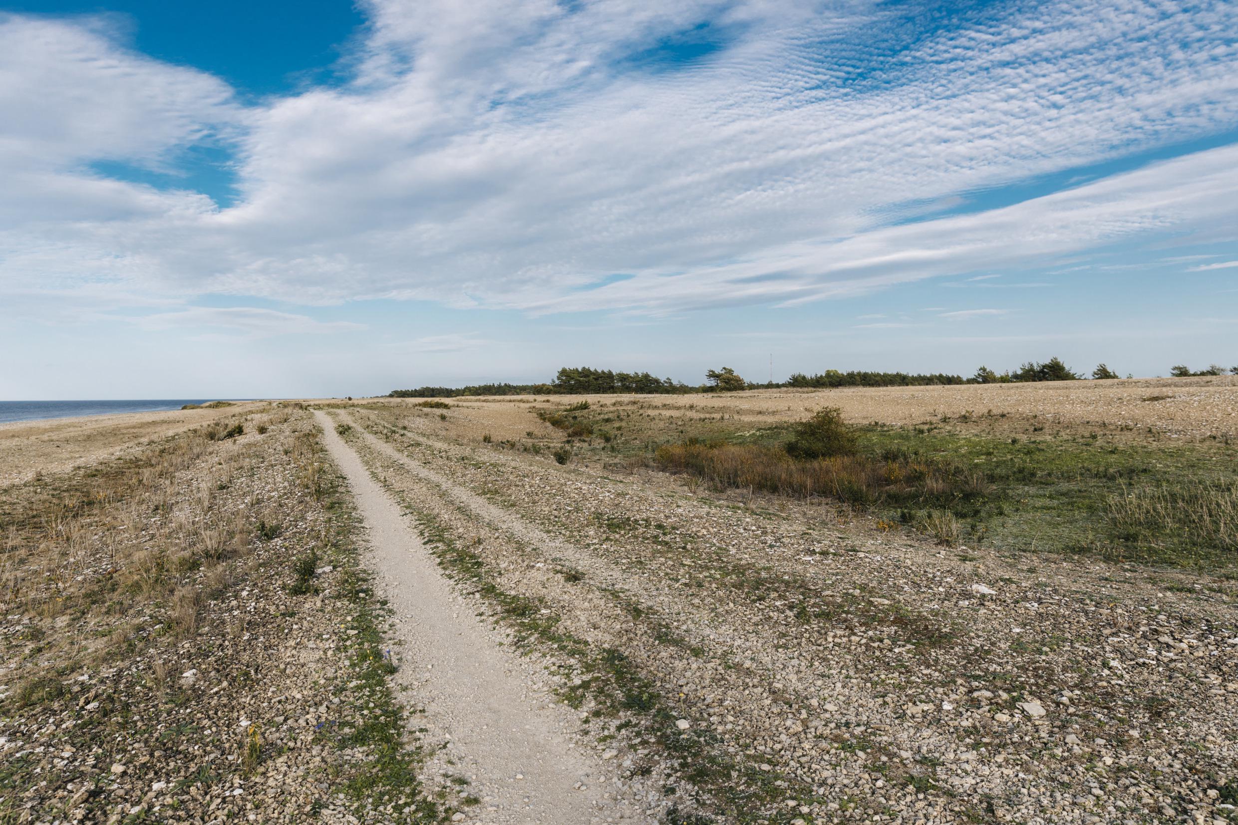 Widespread pebble field with a gravel path along the coast on Öland. Light clouds in the sky and some trees and bushes in the background.