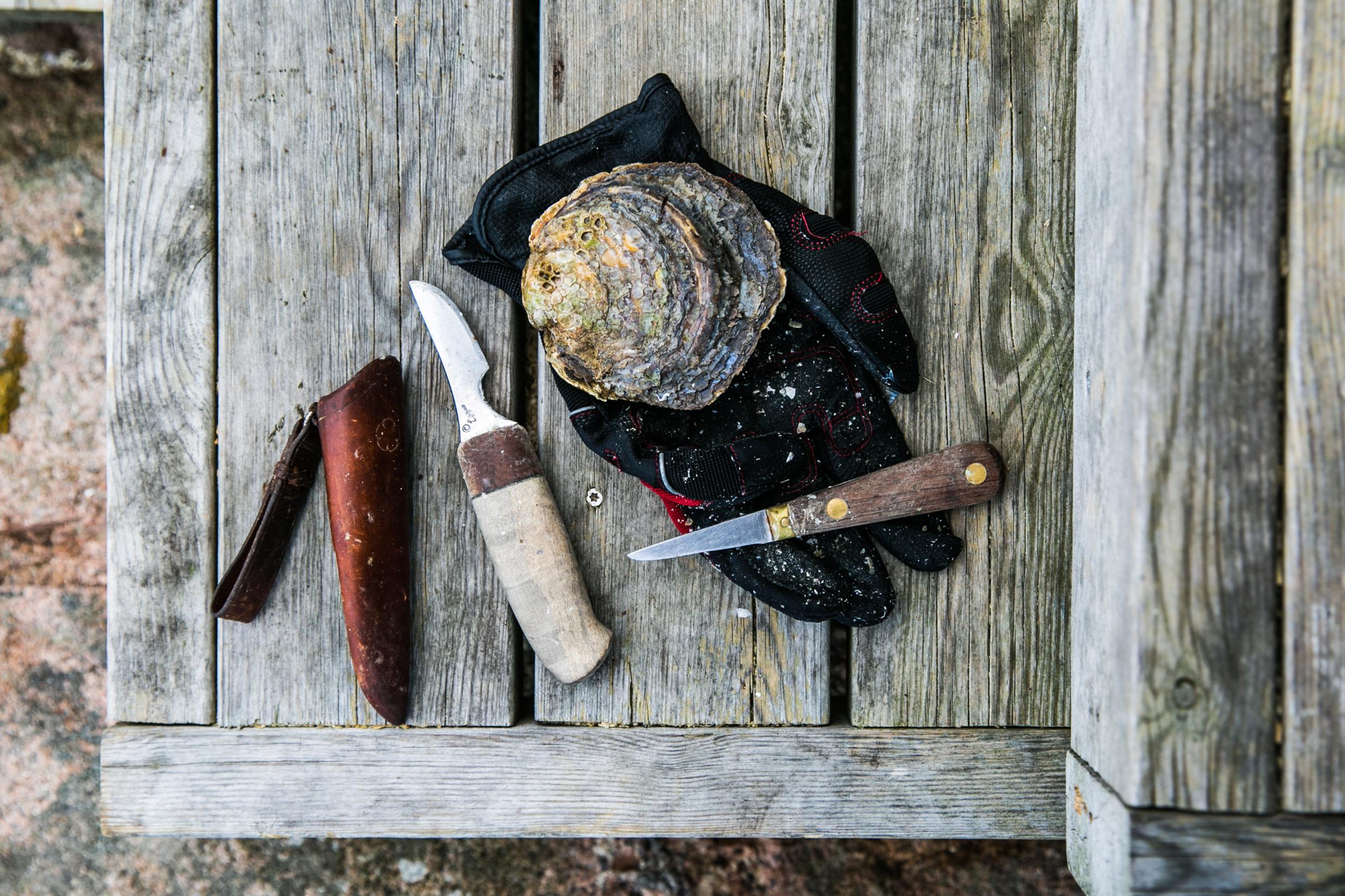 Op een houten tafel liggen een oester, een handschoen en twee messen.