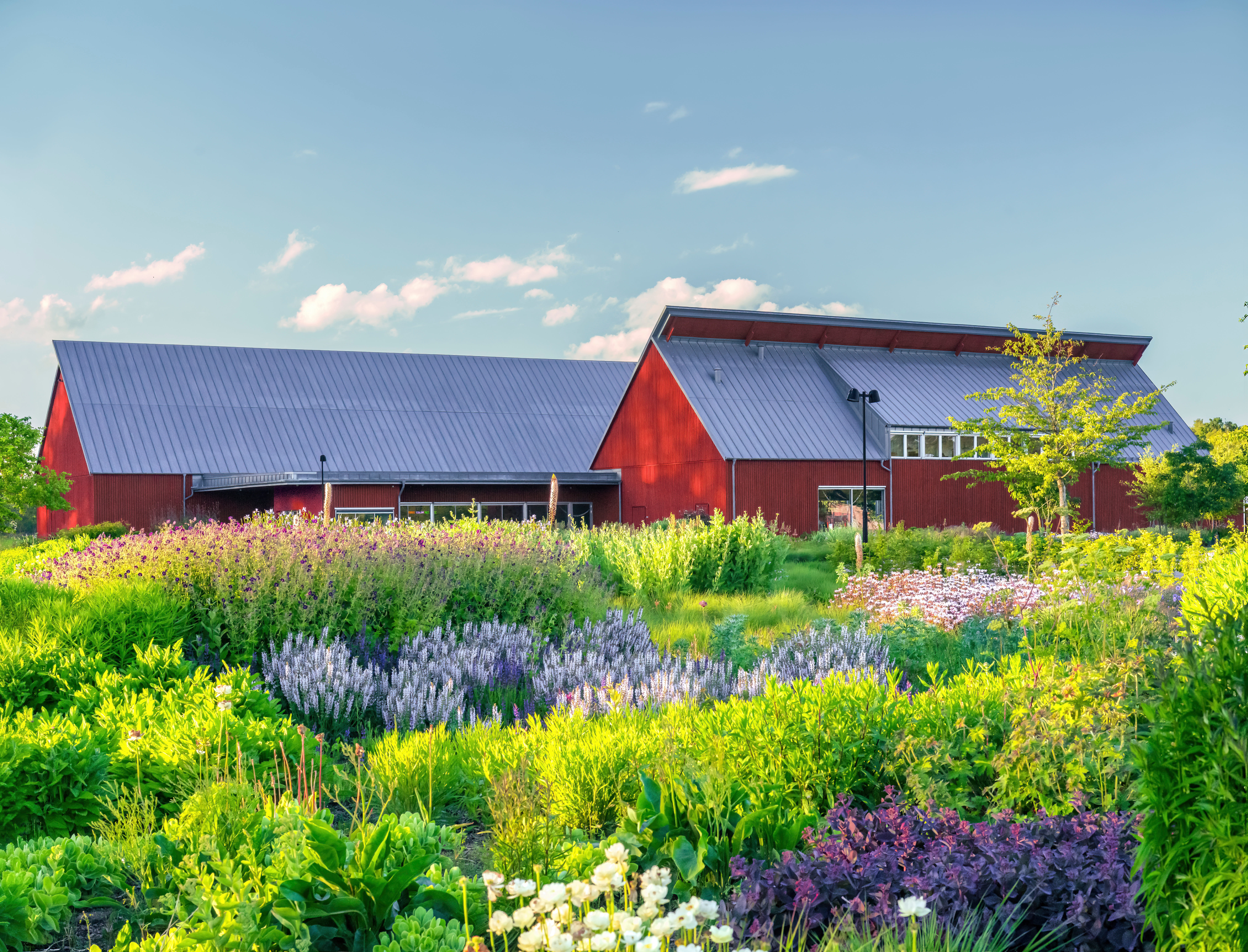 Wooden barn surrounded by a colourfol garden with plenty of flowers.