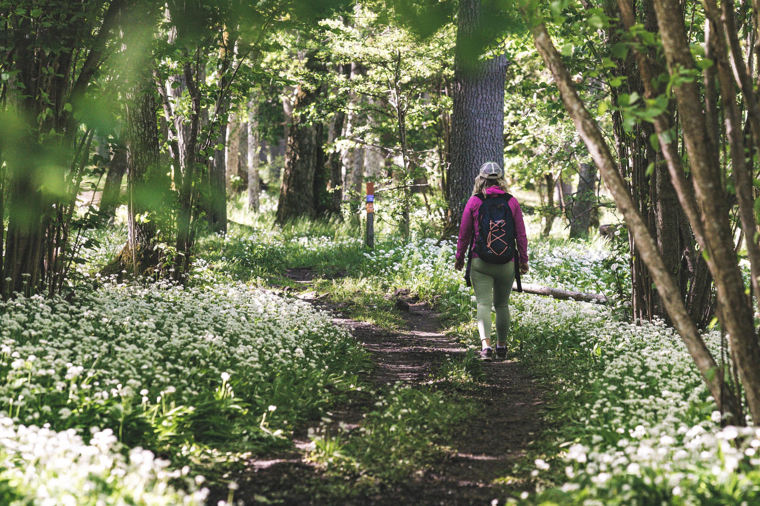 Eine Frau mit Rucksack wandert in einem Wald.