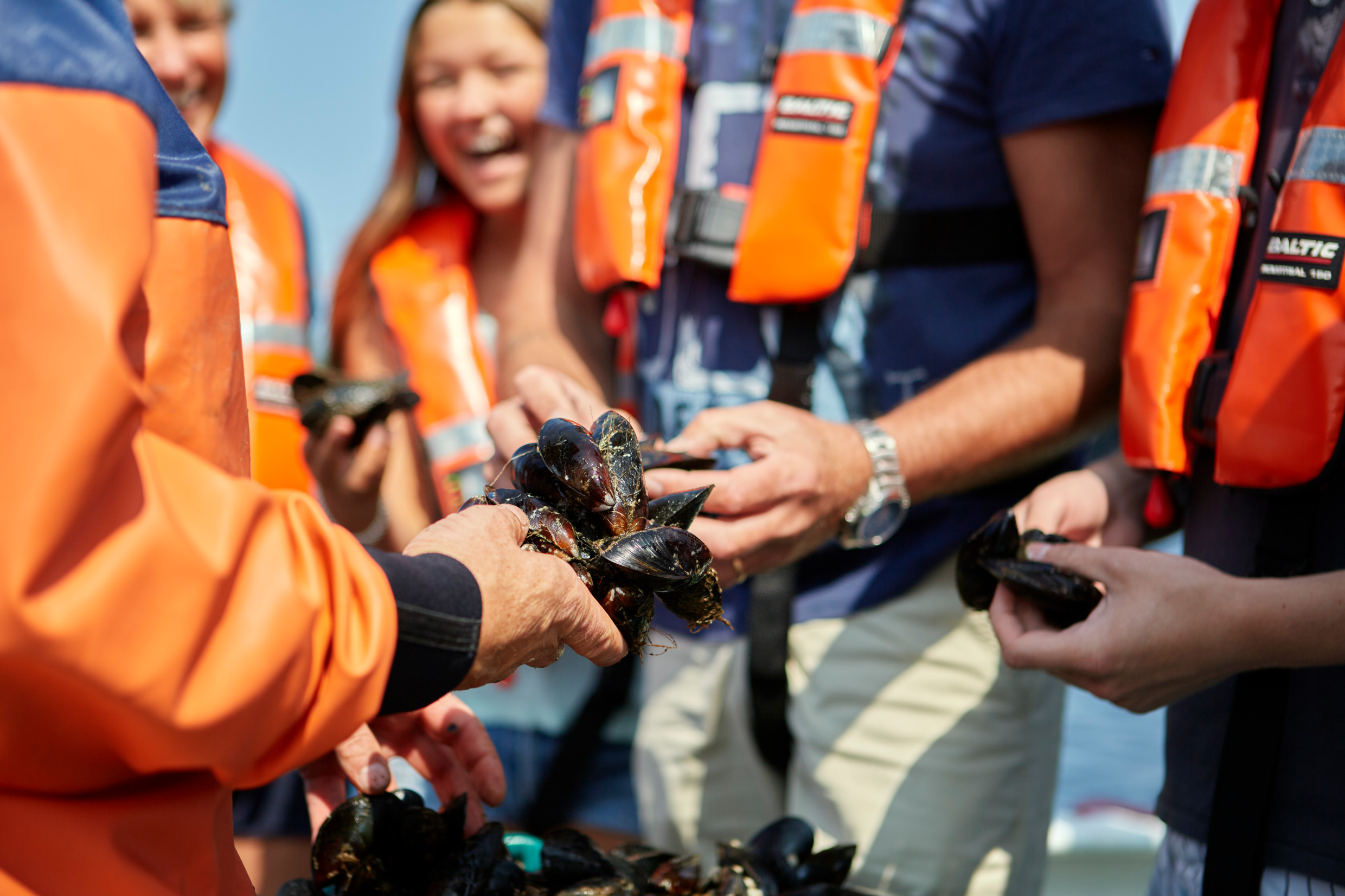 A group of people hold freshly caught mussels.