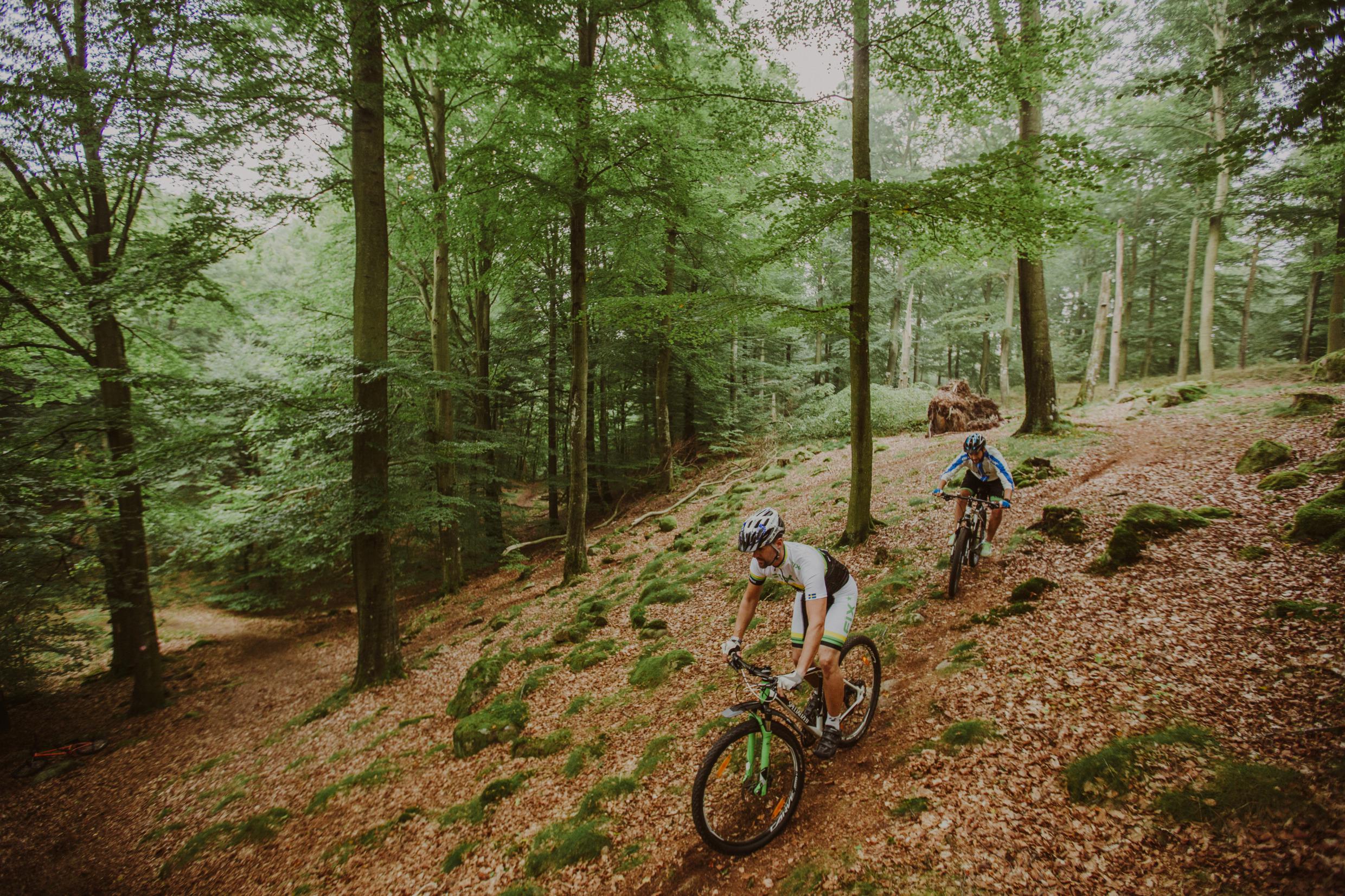 Parc national de Söderåsen