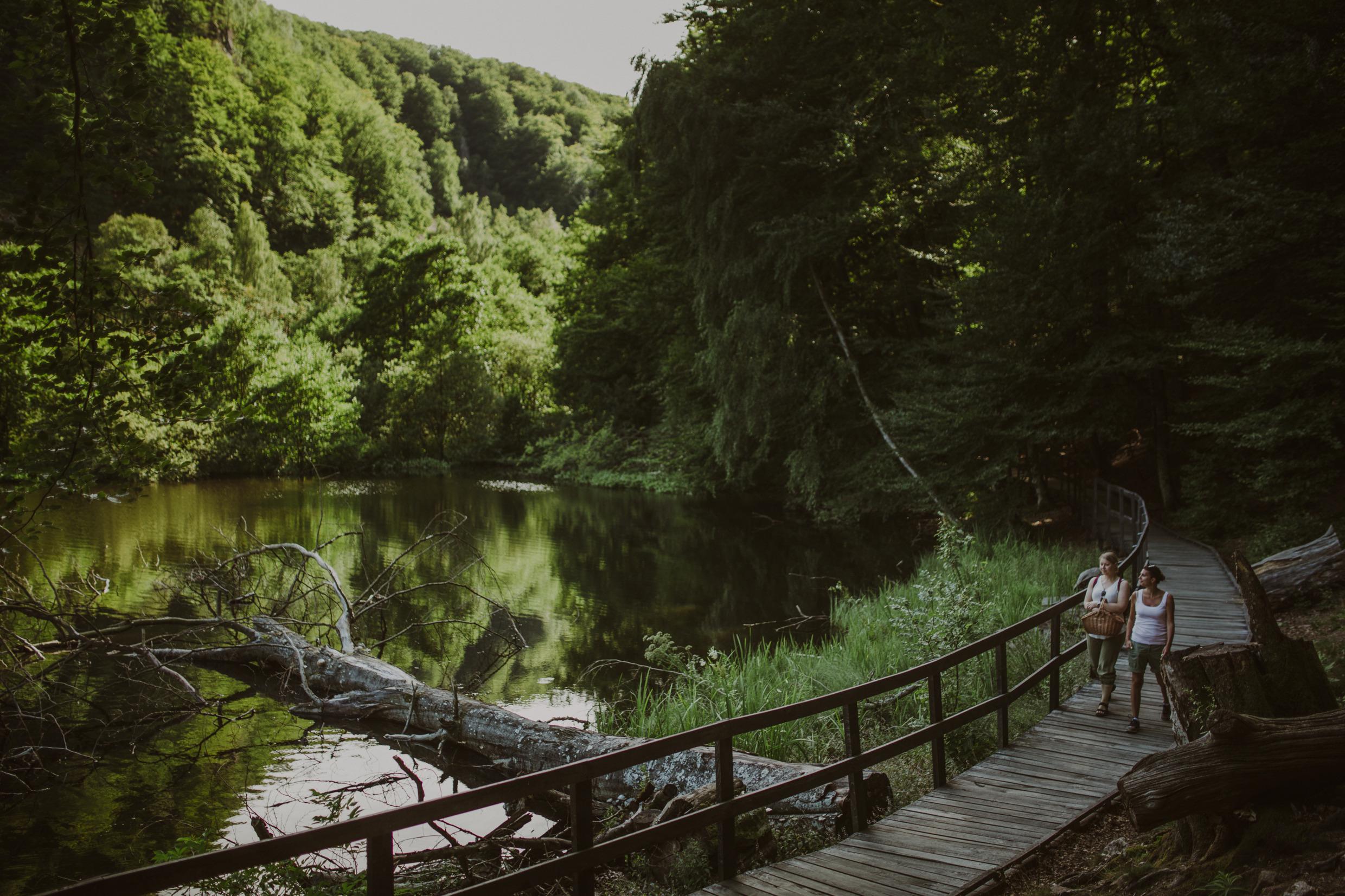 Parc national de Söderåsen