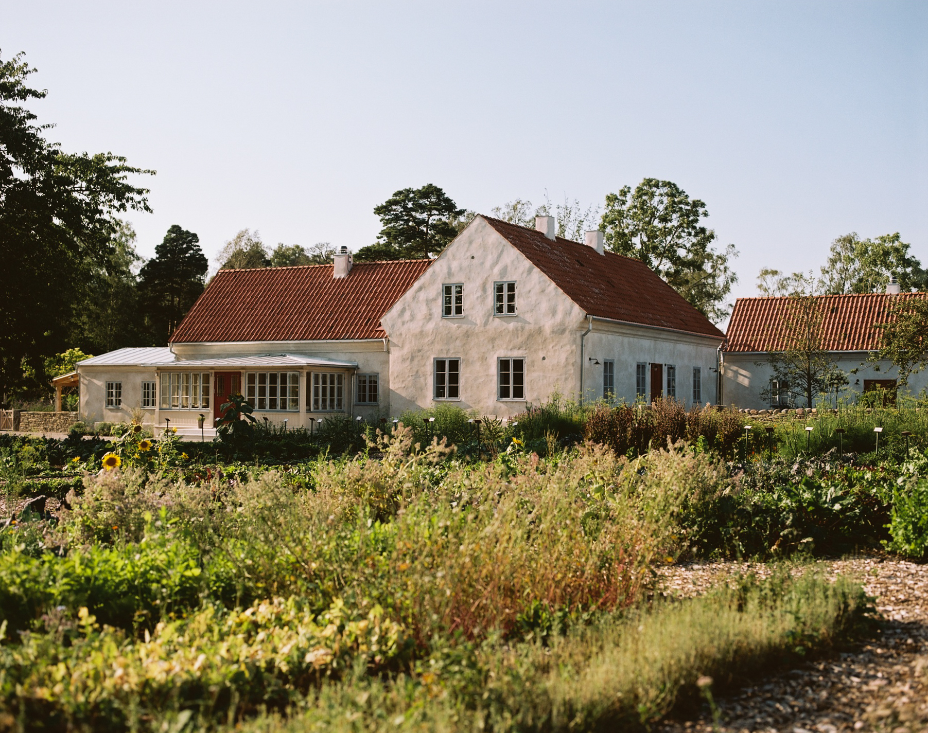 White farmhouse buildings and gardens at Sibbjäns boutique farm stay in southern Gotland, surrounded by lush greenery.