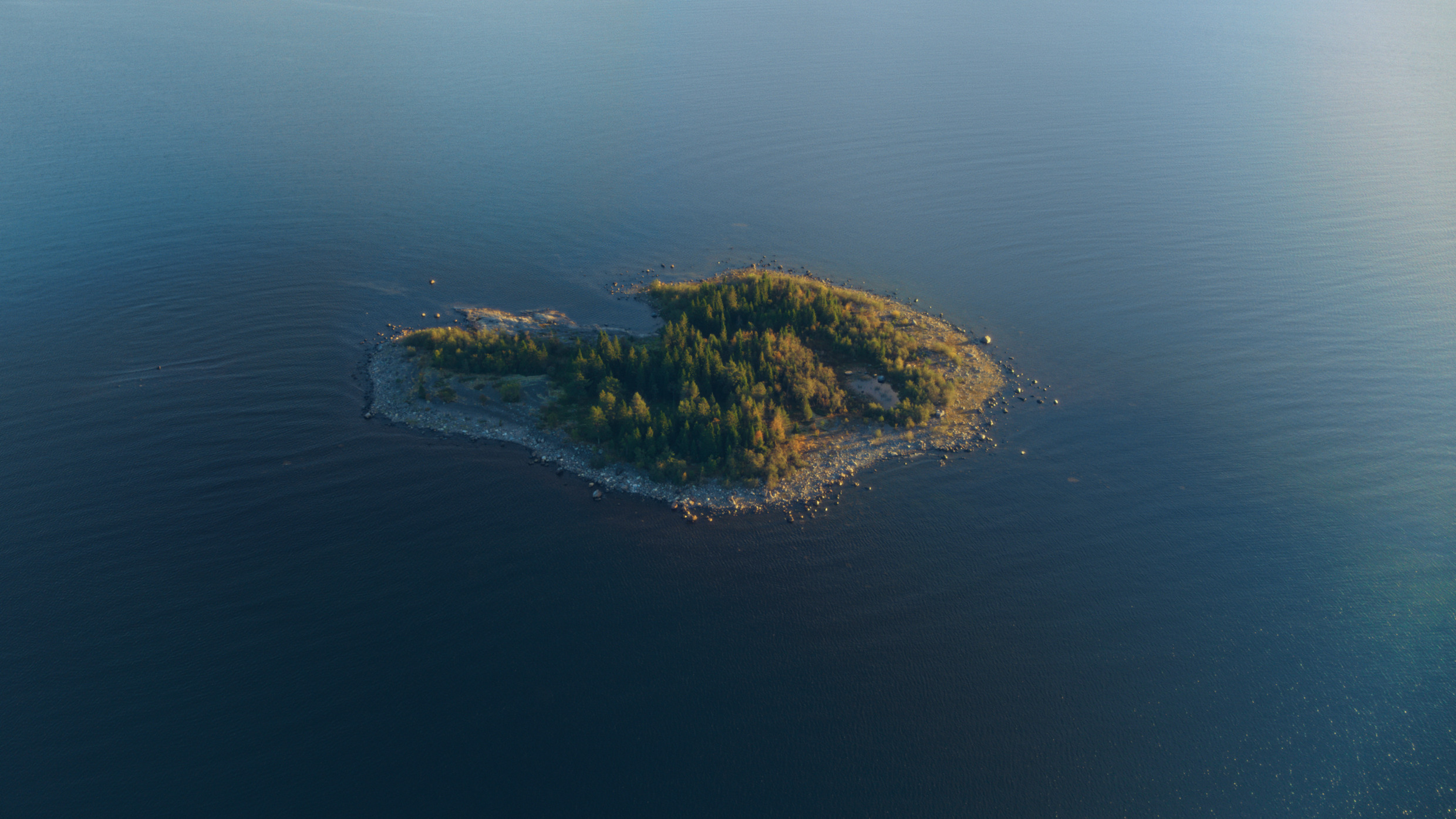 A small, round Swedish island with dense trees is surrounded by dark, quiet water, seen from above.