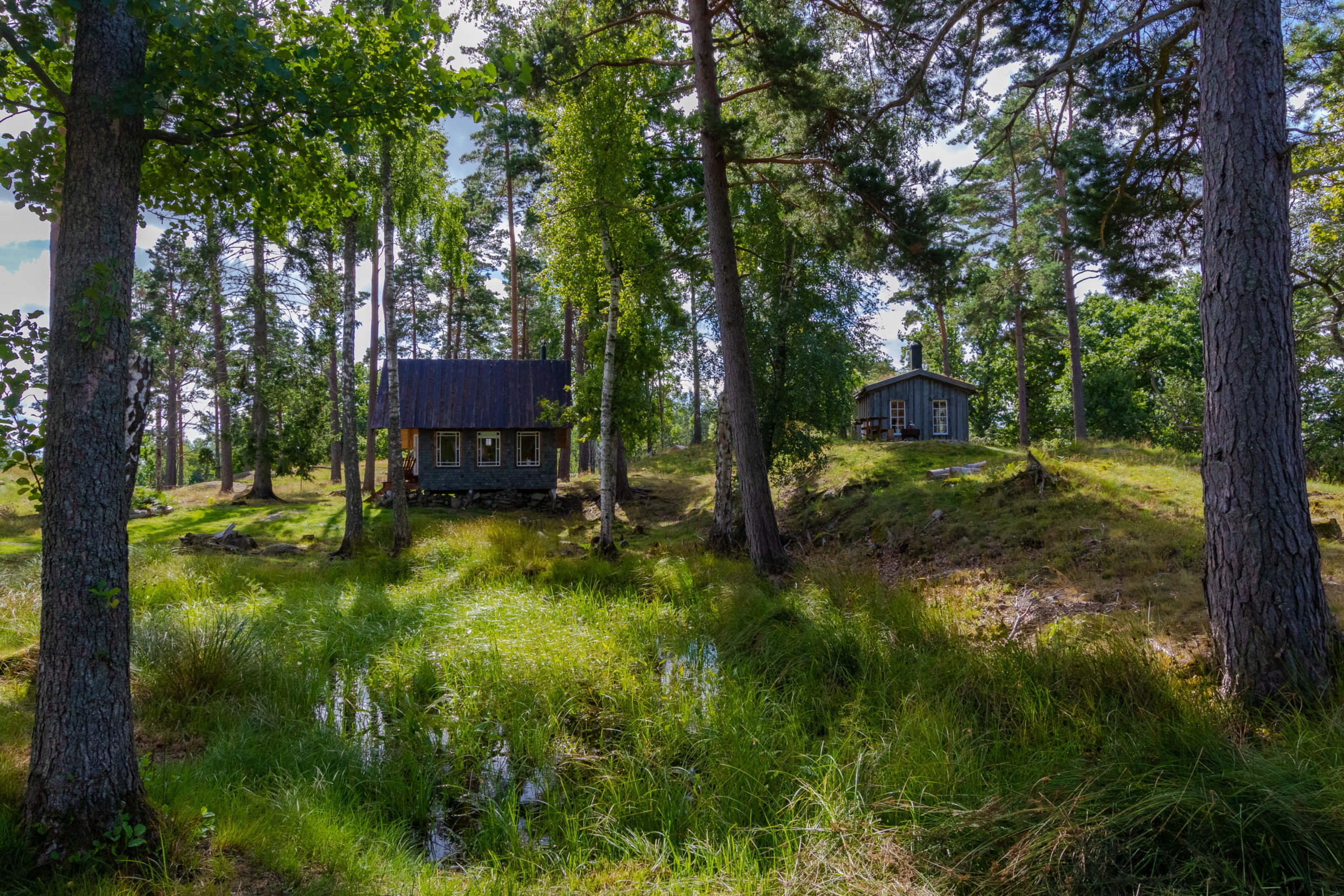 Twee kleine houten huisjes omringd door pijnbomen en zomerse groene natuur bij Swedish Country Living in West-Zweden.