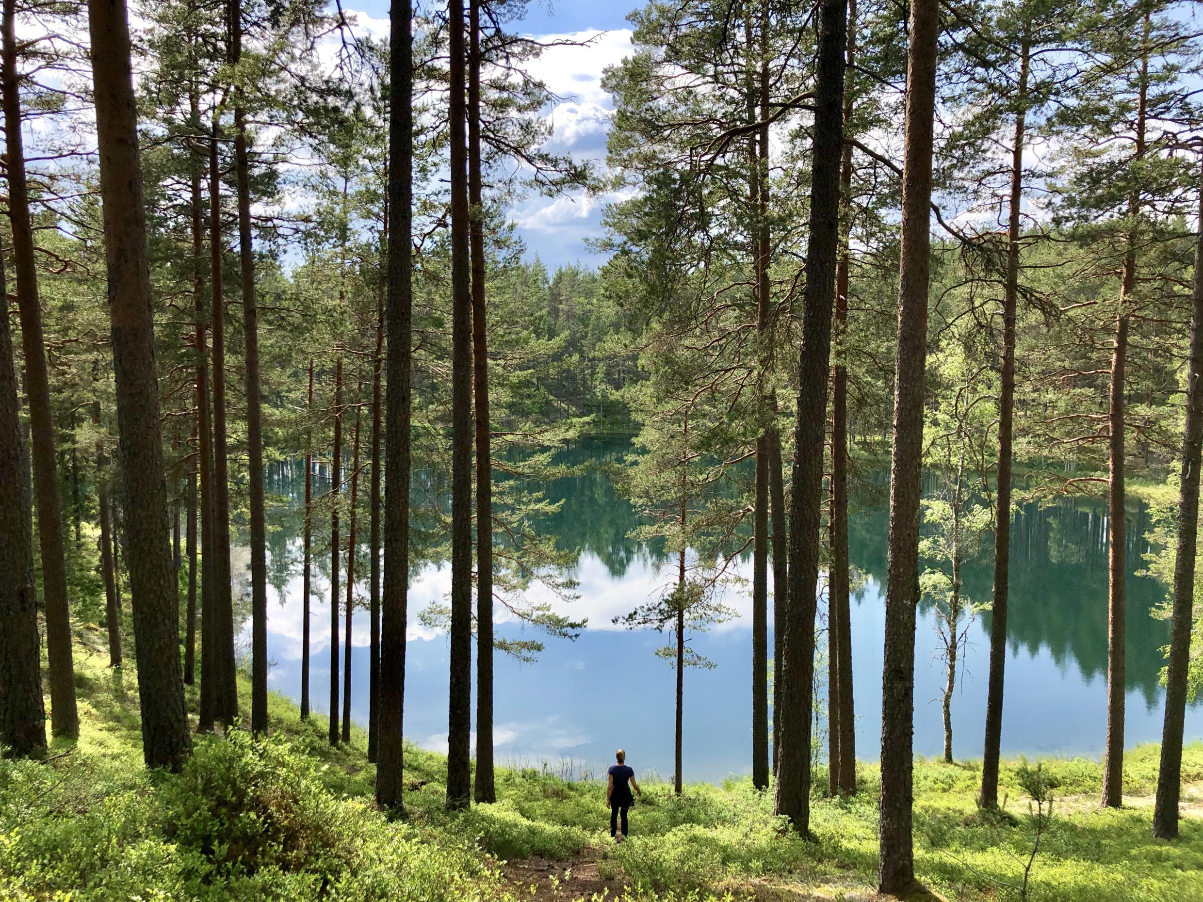 Eine Frau steht im Sommer an einem Teich. Der Himmel spiegelt sich im Wasser.