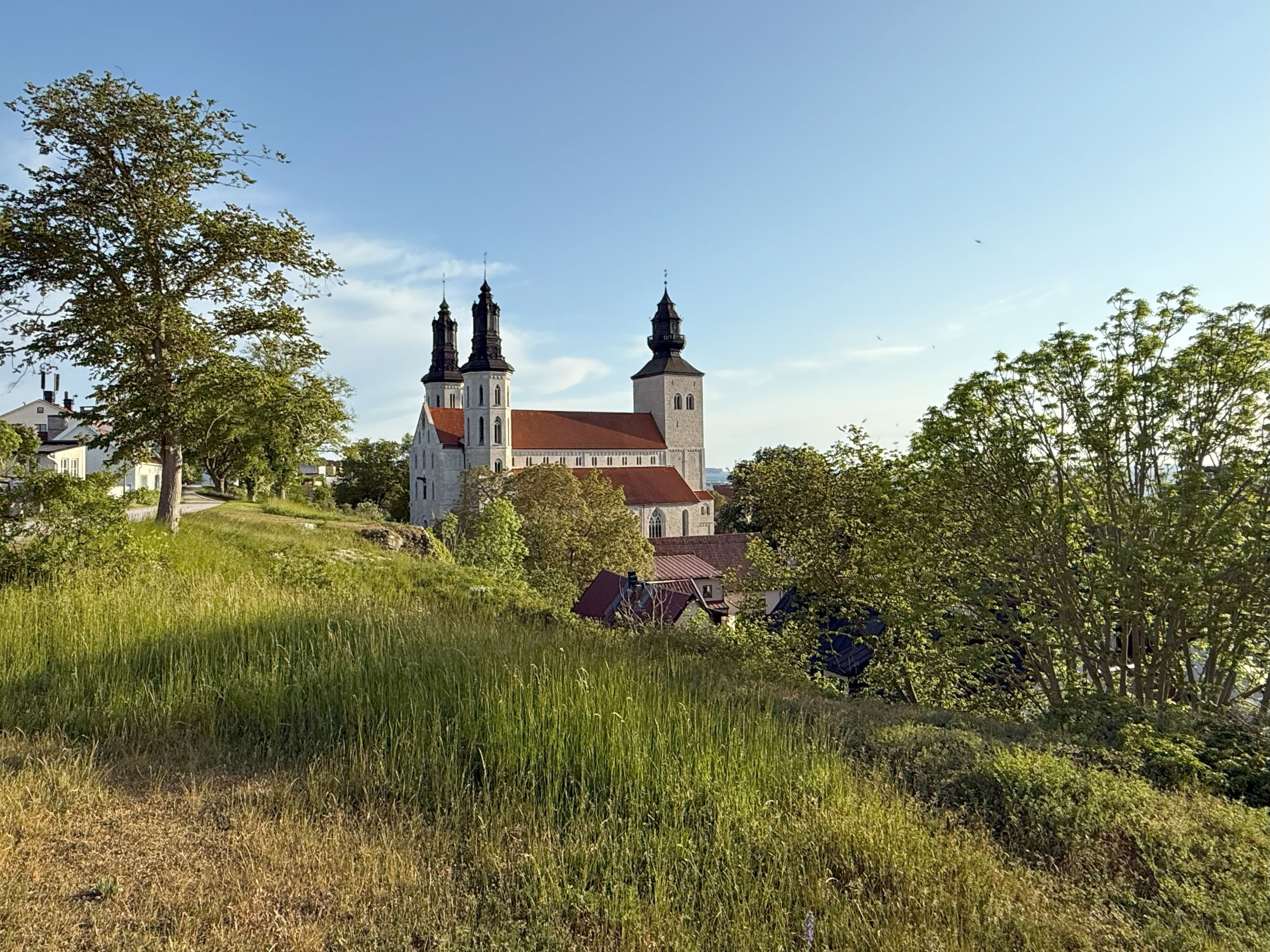 Sankta Maria Cathedral rising above the rooftops of Visby, framed by greenery and evening light.