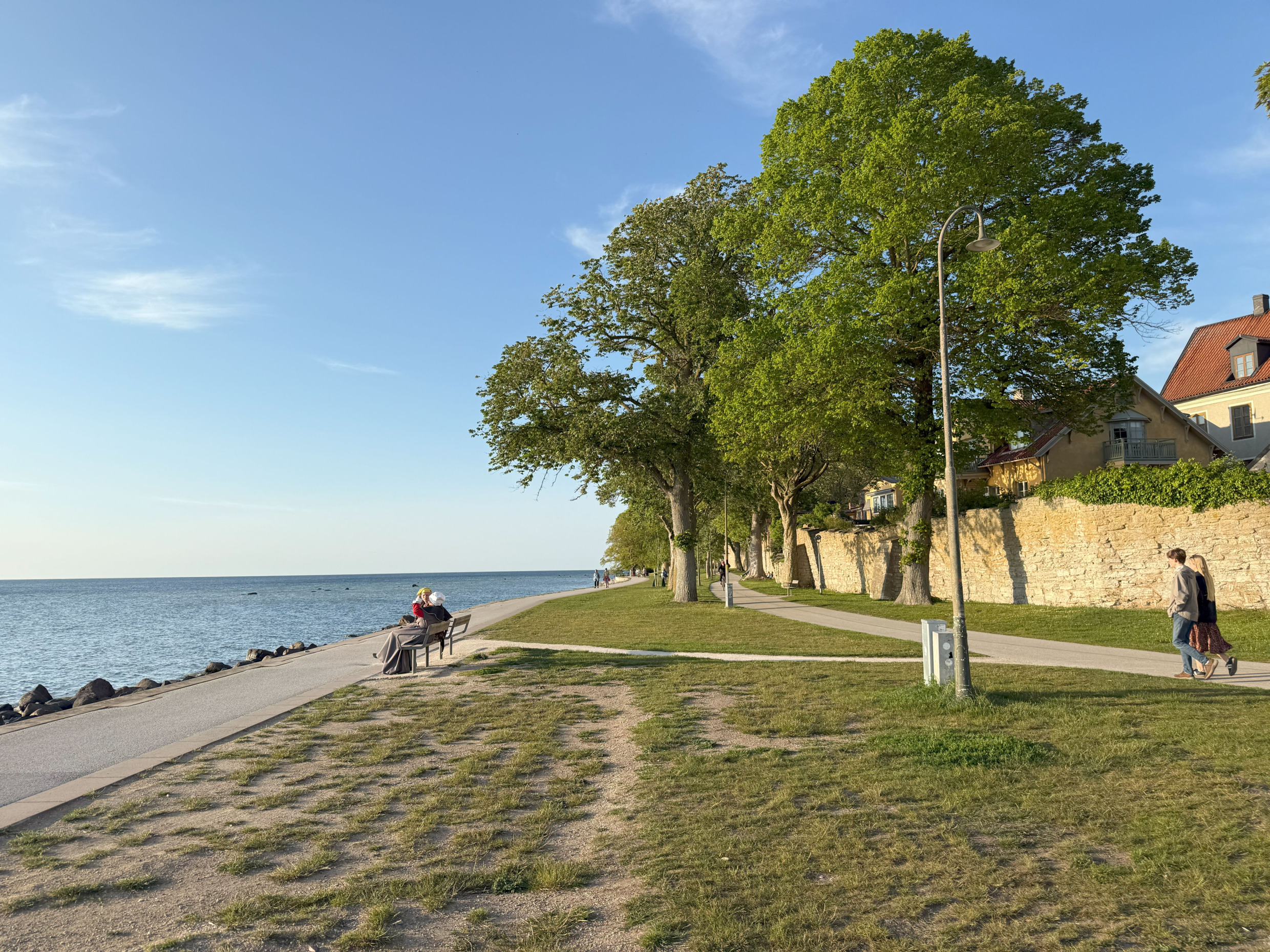 People walking and sitting along Visby’s seaside promenade, lined with trees and the old city wall on a sunny evening.