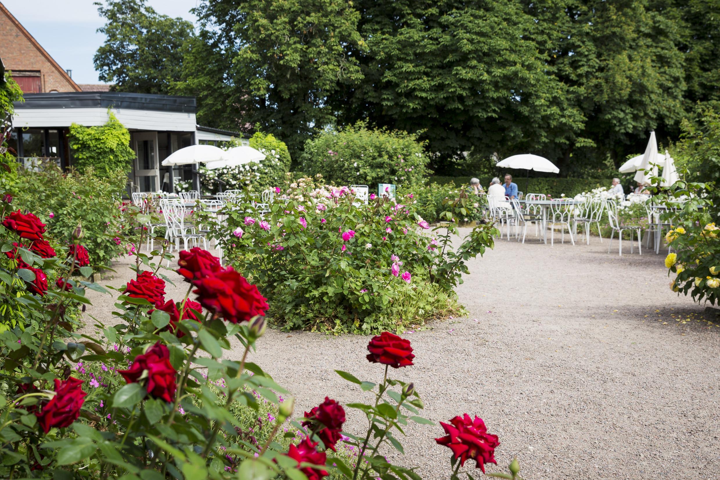 Prachtig Bosjökloster in de regio Skåne