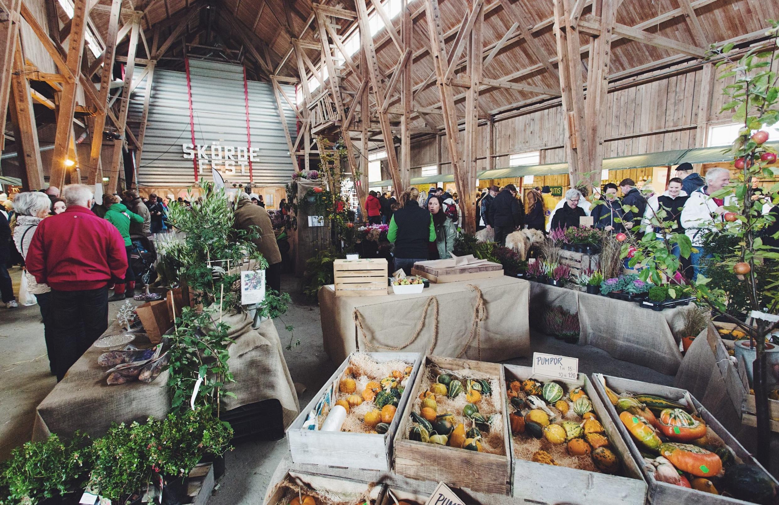 A crowded food market with vegetables and in the front a wooden box with different pumpkins.
