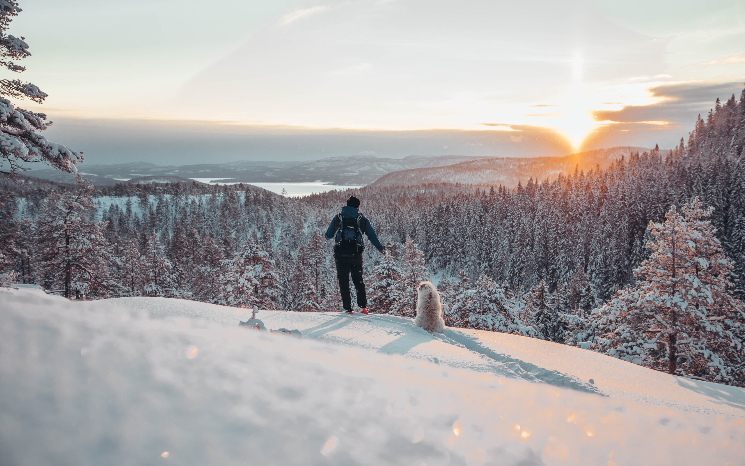 A person and a dog looking out over a wintery landscape covered in snow