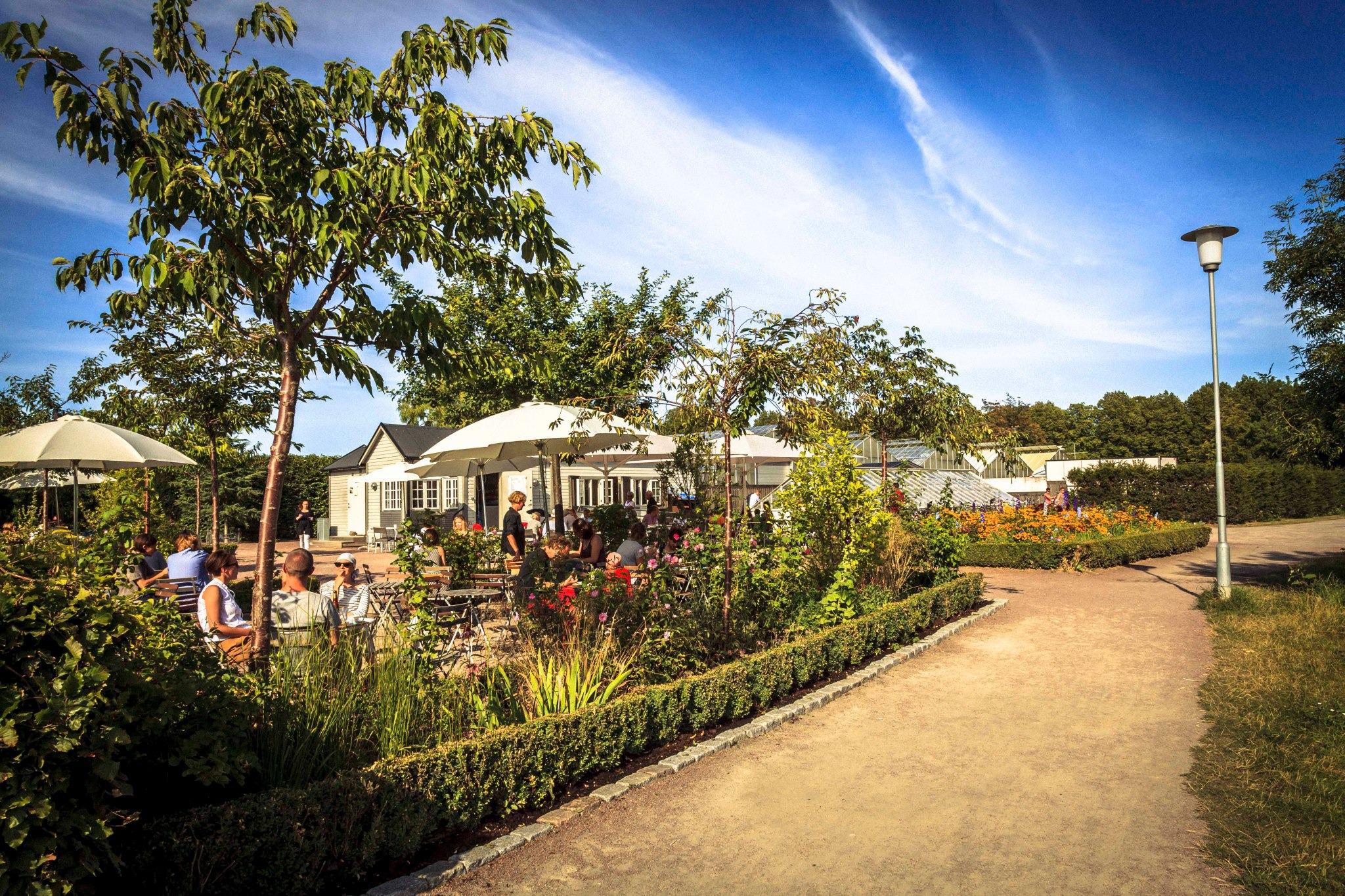 Le café de Slottsträdgården à Malmö