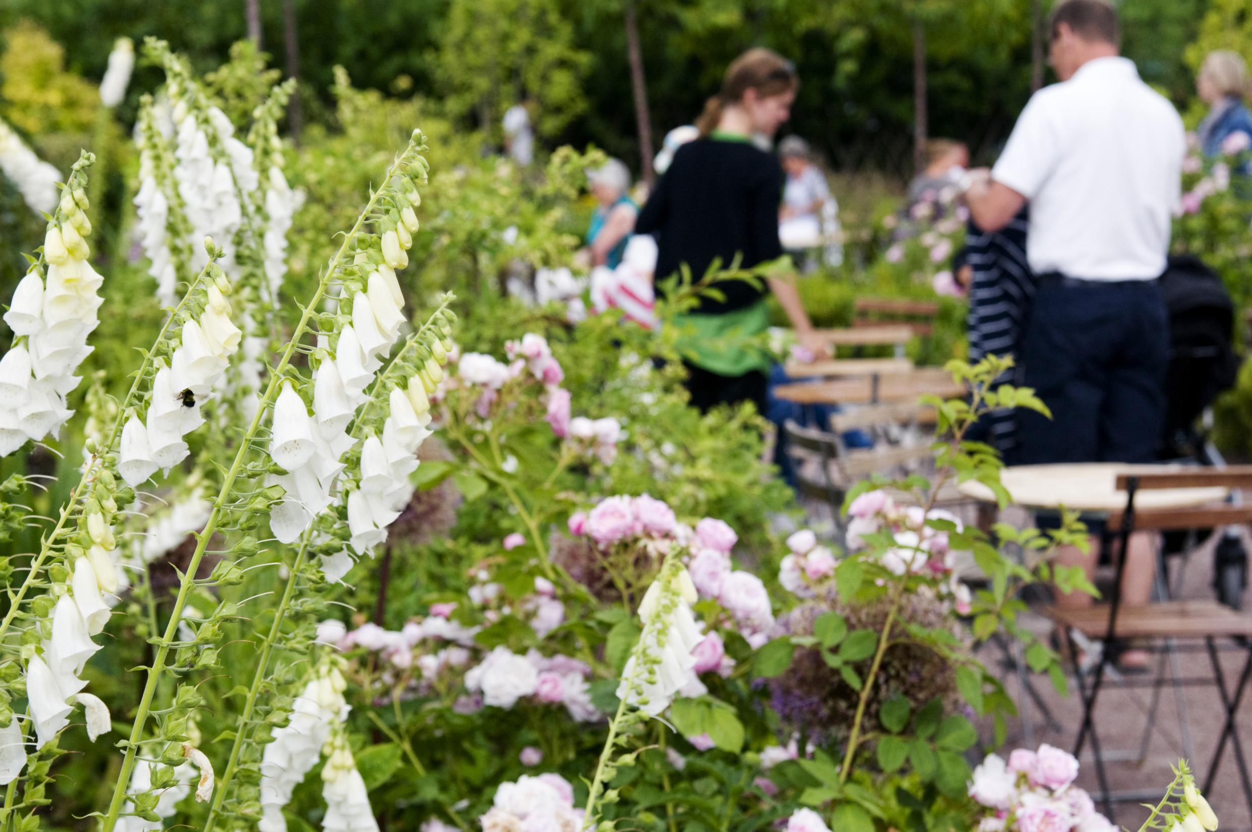 Tafeltjes staan opgesteld in een tuin. Mensen gaan zitten op de houten stoelen. Op de voorgrond bloeien roze en witte bloemen.