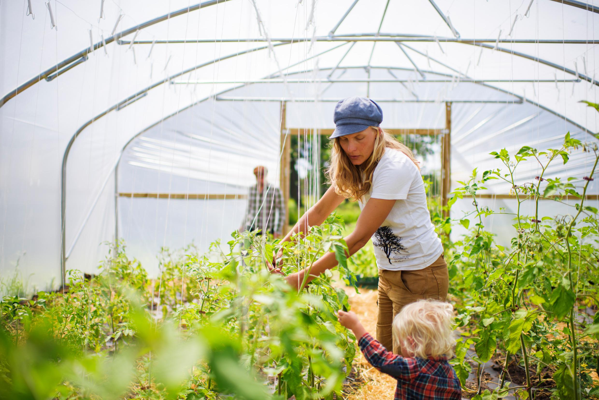 L'agriculture biologique