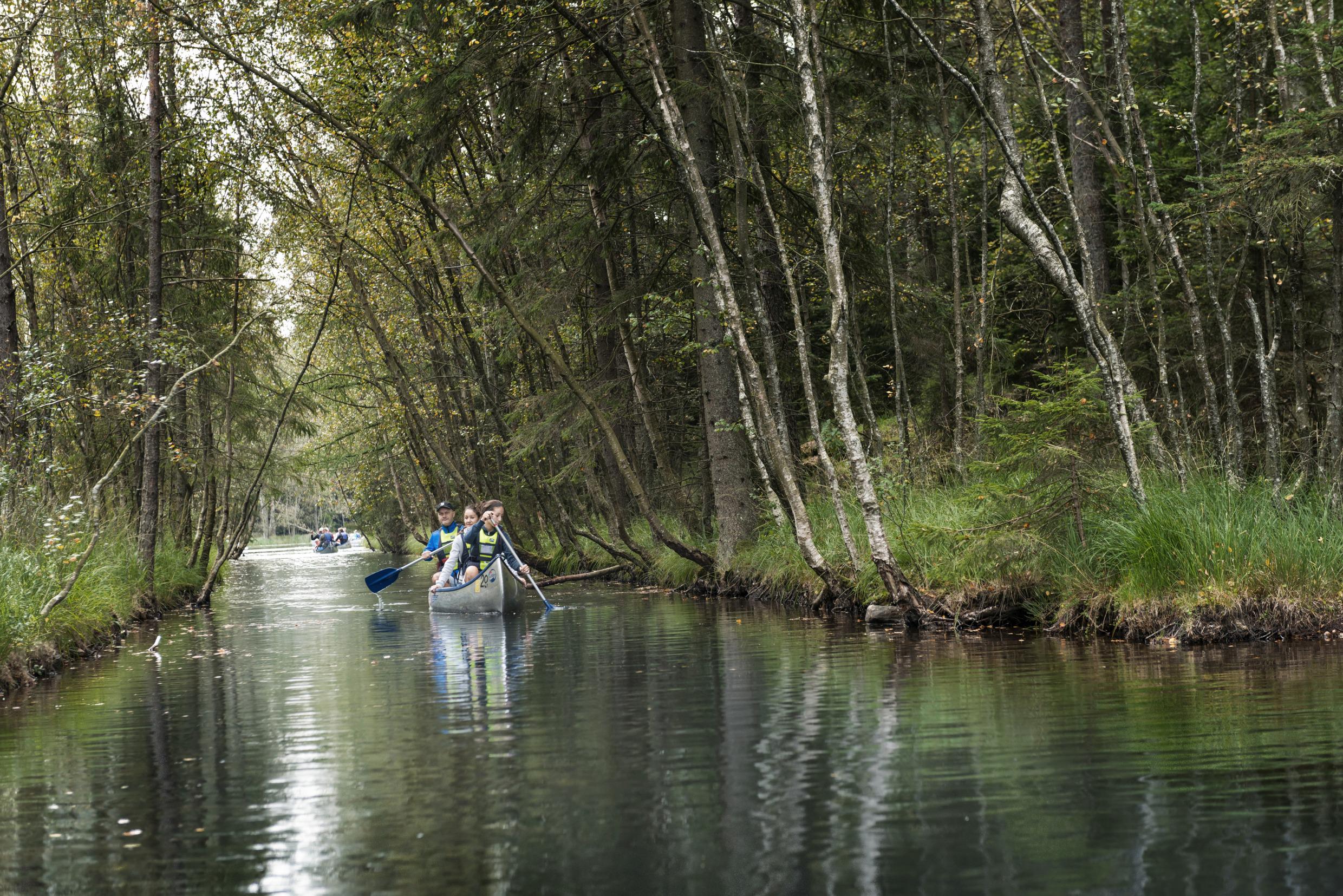 Kanufahren im Naturschutzgebiet Vättlefjäll