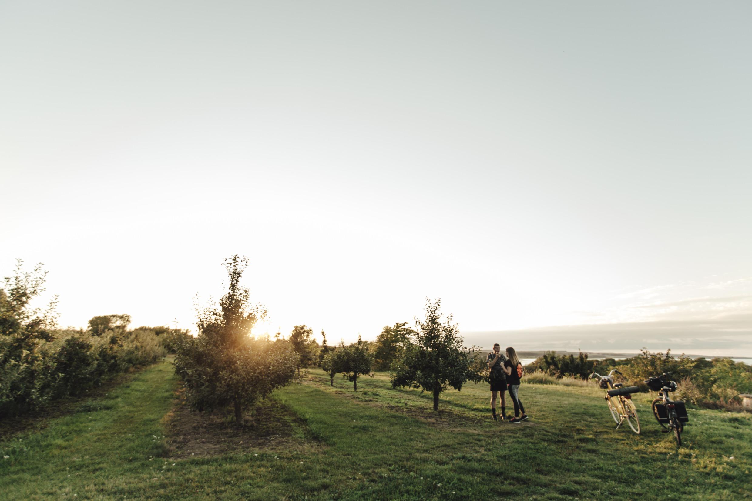 Fahrradwanderweg Sydostleden, in Skåne