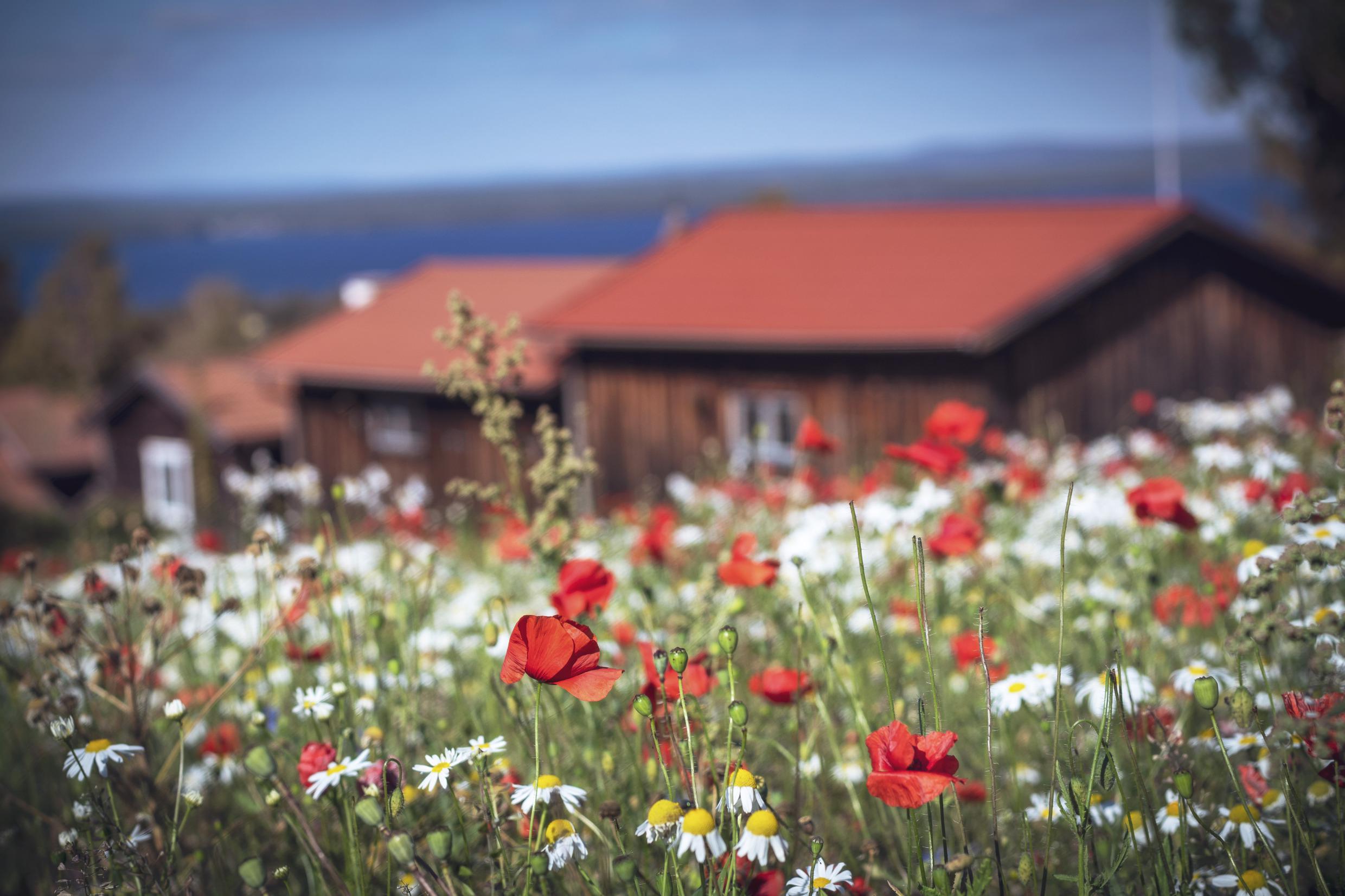 Tällberg in Dalarna