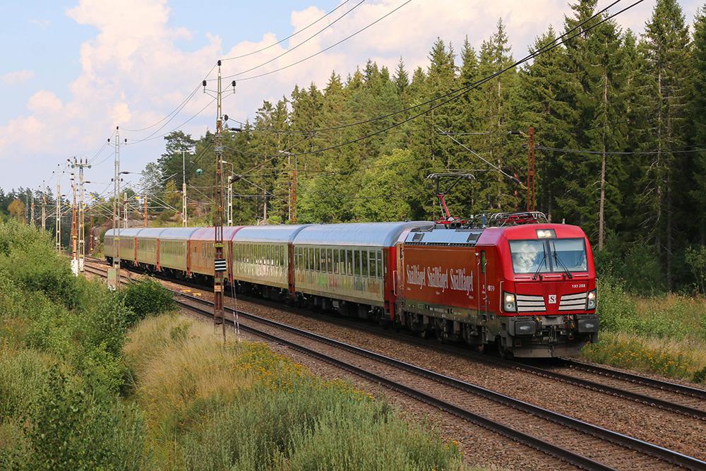 A train traveling on a train track surrounded by forest.