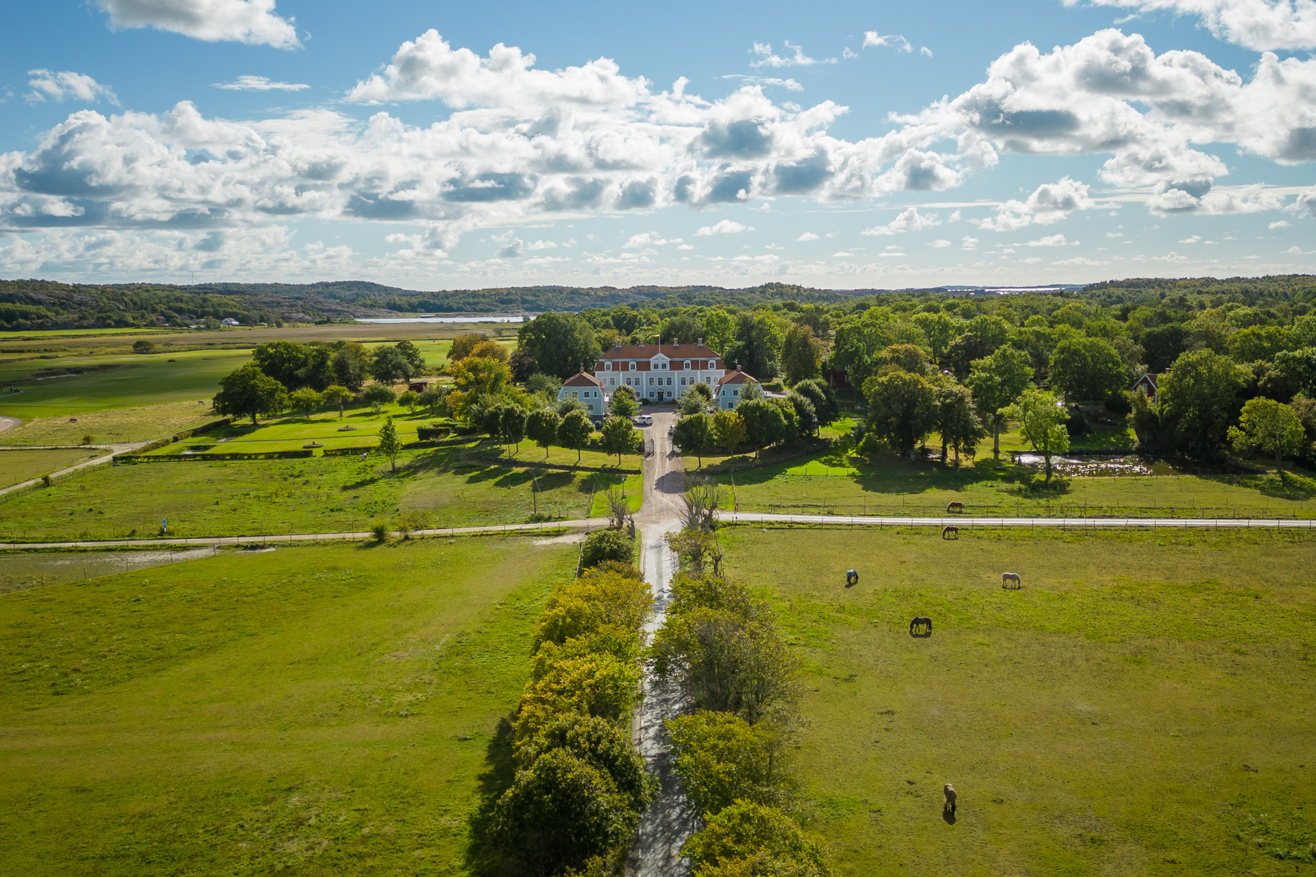 Vue aérienne du manoir de Tofta, entouré de champs verdoyants, de chevaux au pâturage, d'arbres et de la campagne de l'Ouest de la Suède, sous un ciel bleu.