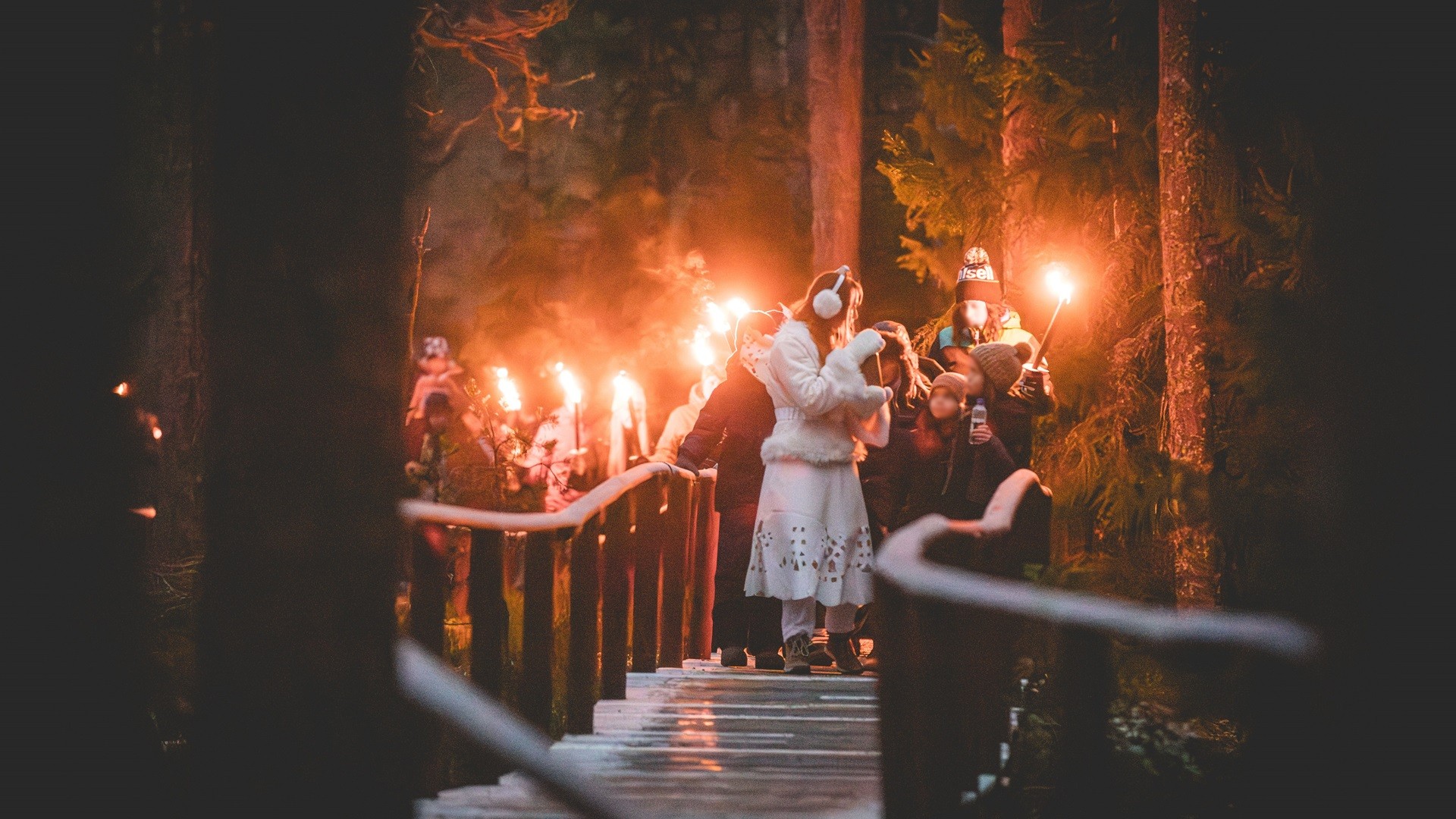 Group of people walking with torches through the forest at Trolska Skogen in winter.
