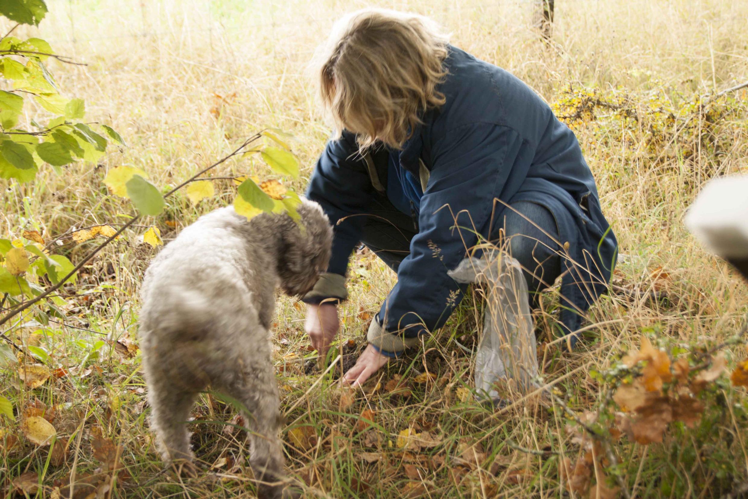 Truffle hunting
