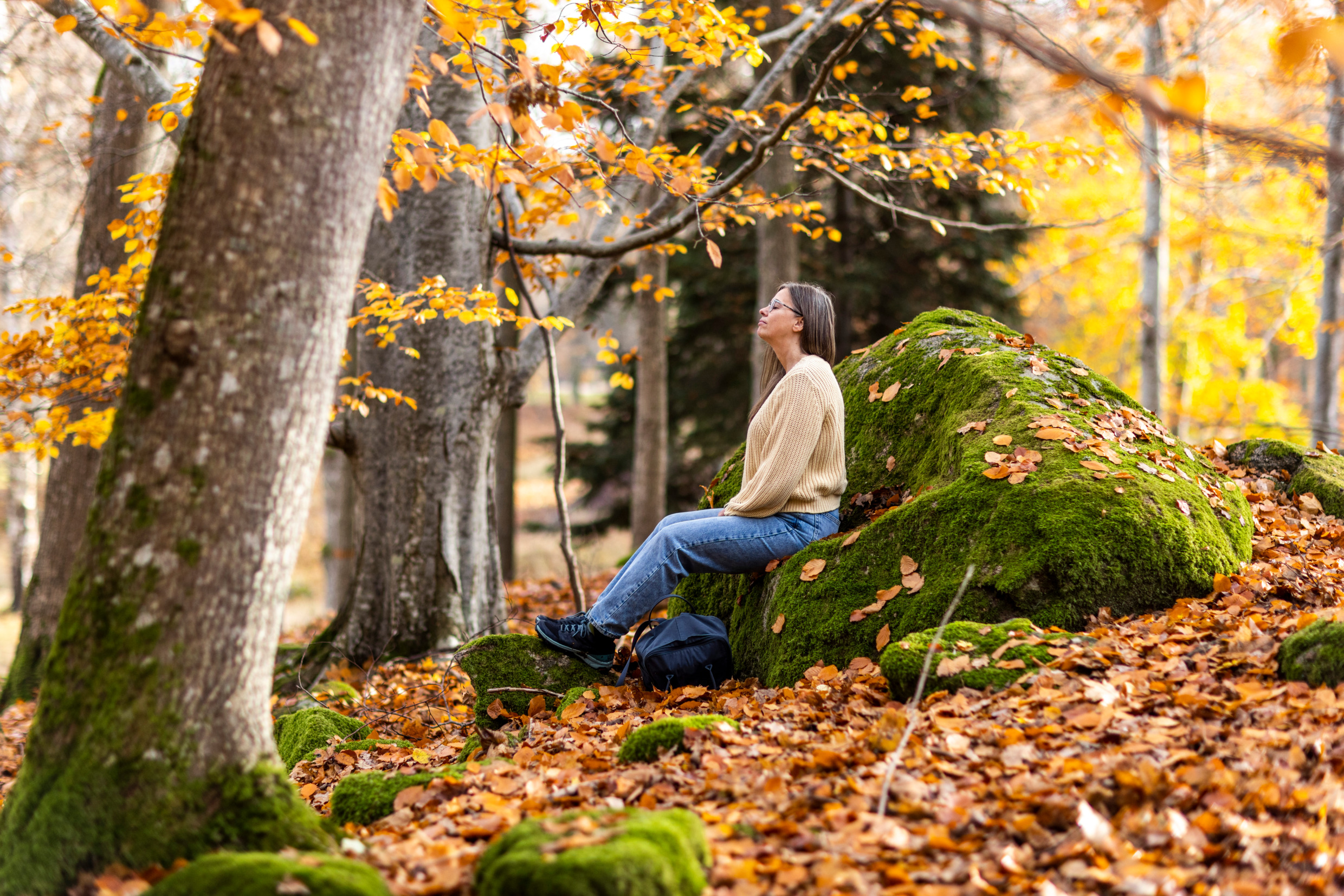 A woman sits on a rock in a forest. The ground is covered with autumn leaves.