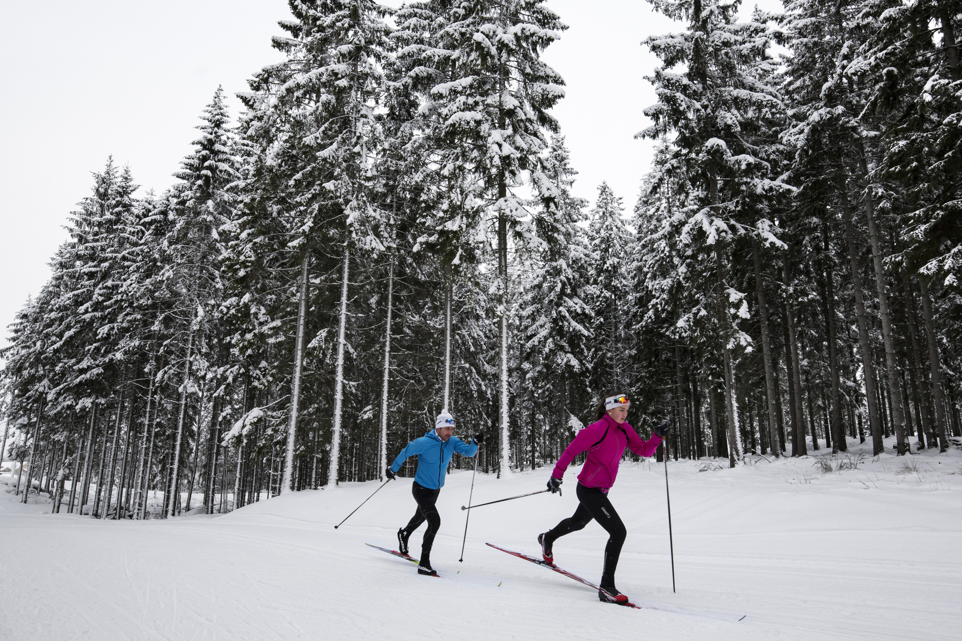 Deux personnes qui font du ski de fond.