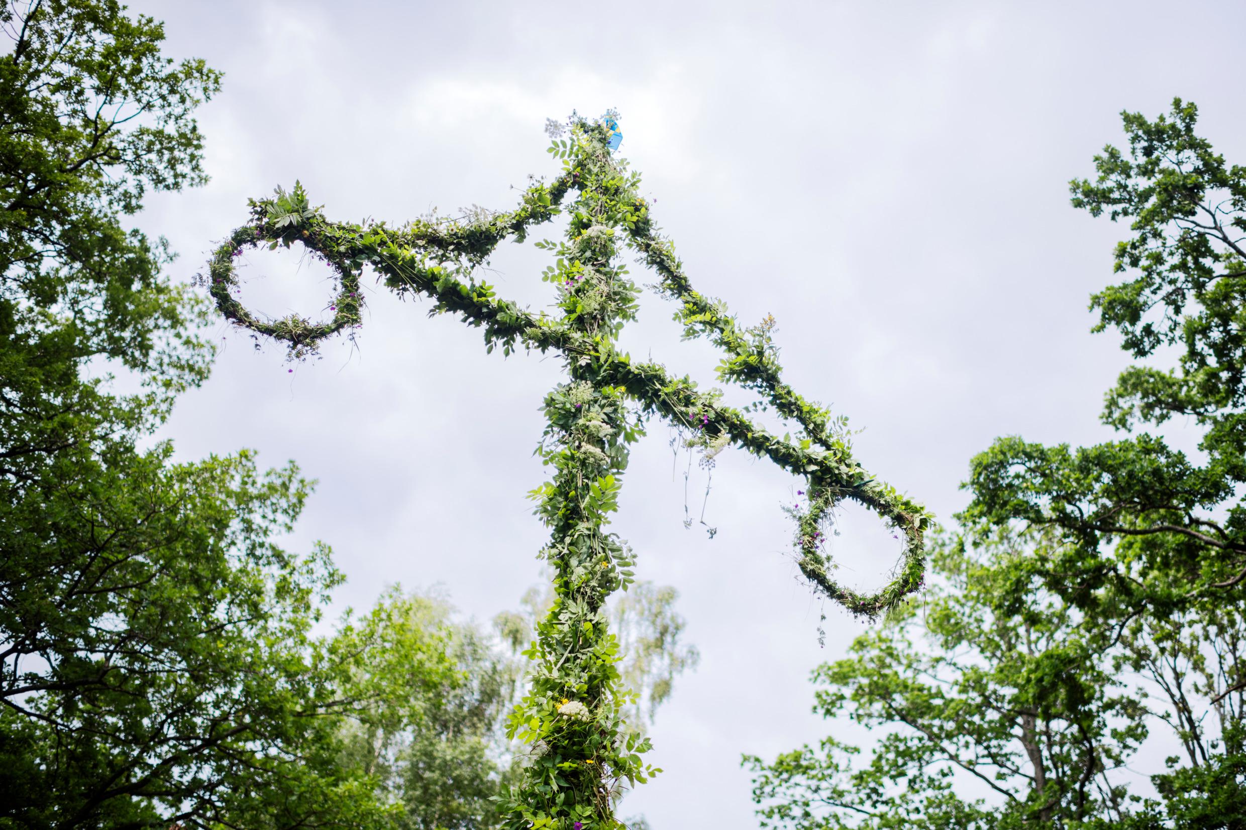 Un mât de midsommar : un grand mât recouvert de feuilles est planté dans la terre avec en haut, une plus petite barre formant une croix et sur laquelle sont suspendus deux cerceaux recouverts de feuilles.