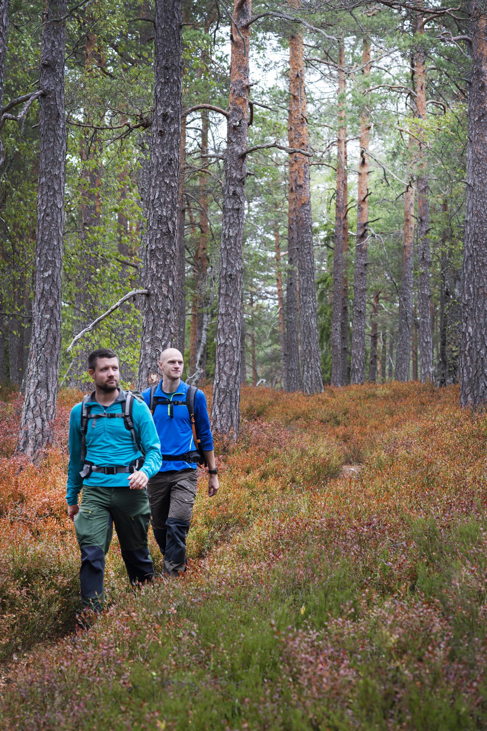 Hiking in Dalsland, West Sweden