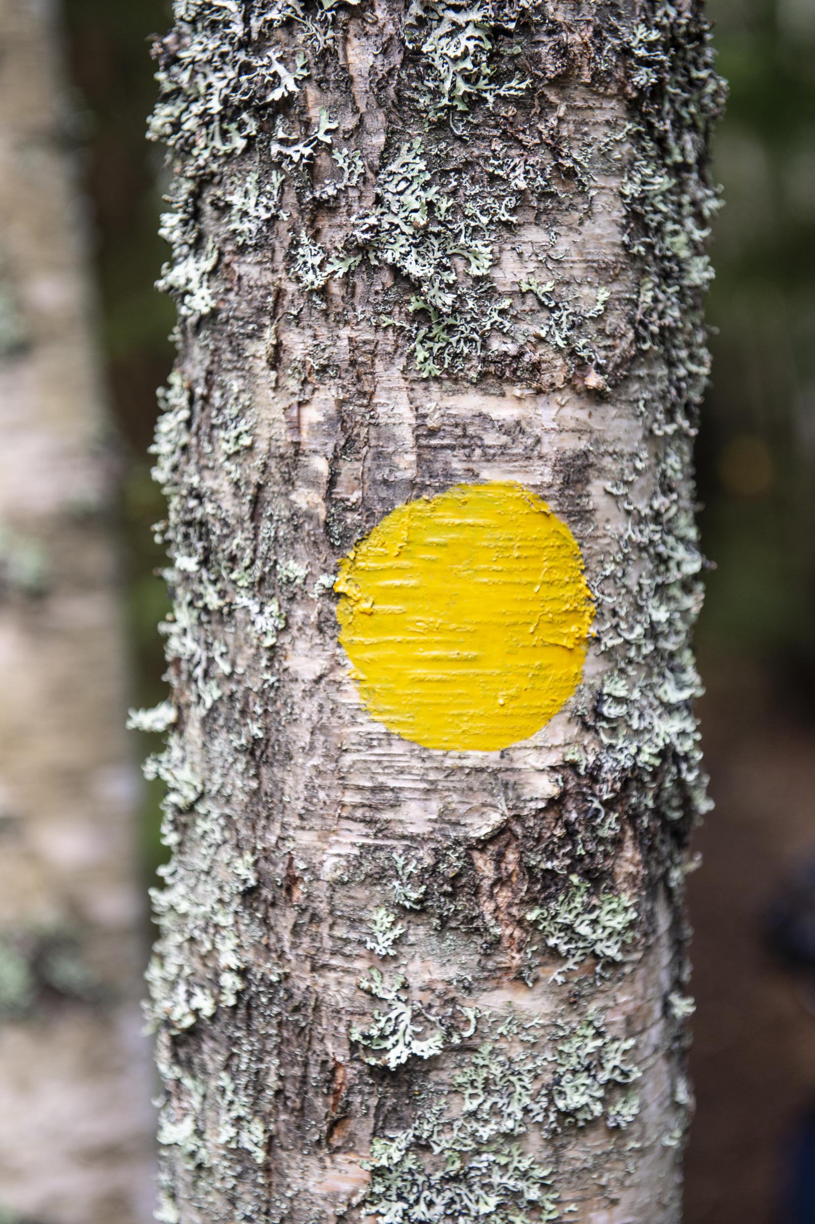 Hiking in West Sweden