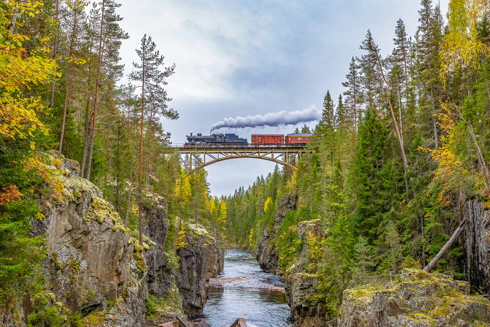 De stoomlocomotief van de Wilderness Train rijdt majestueus over een brug die over een stroomversnelling loopt, midden in een kleurrijk herfstlandschap.