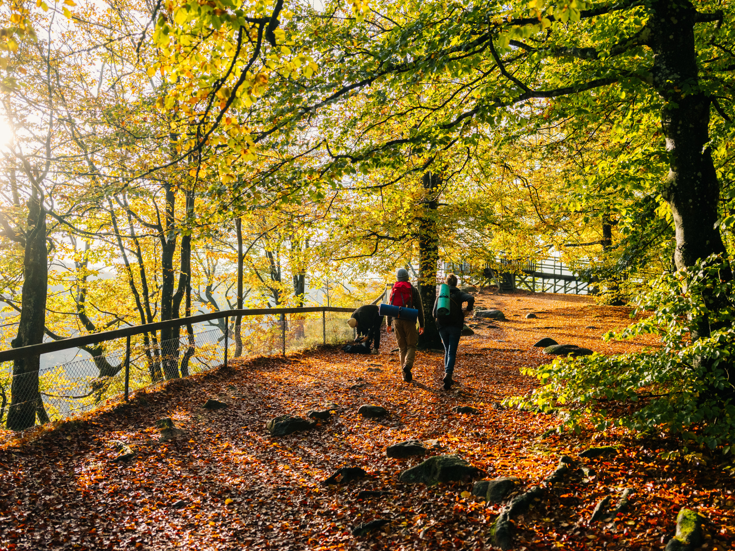 Zwei Menschen mit Rucksäcken gehen auf einem mit Laub bedeckten Wanderweg. Die Sonne scheint zwischen den Ästen der Bäume hindurch.
