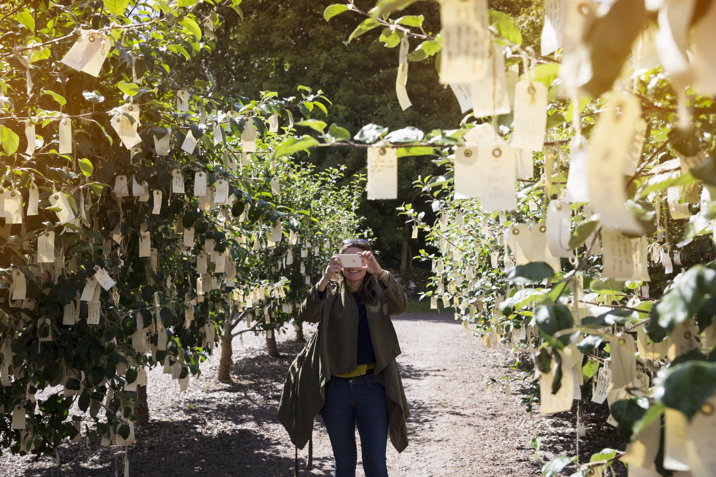 Kunstausstellung beim Schloss Wanås