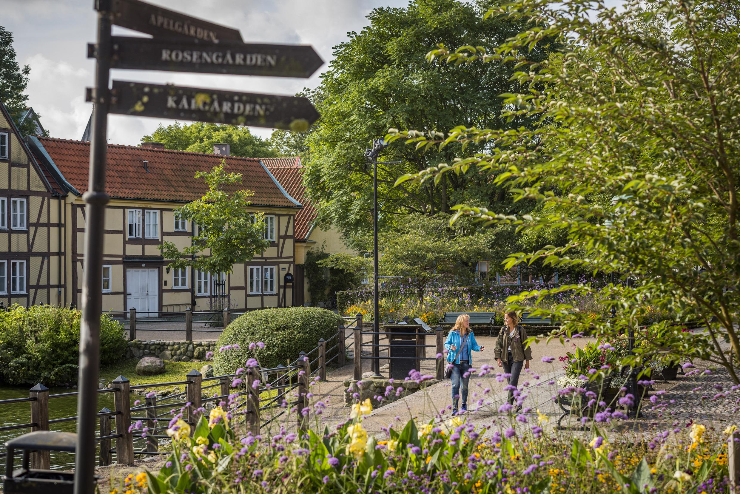 Deux femmes sont en train de marcher dans une ville entourée de verdure.