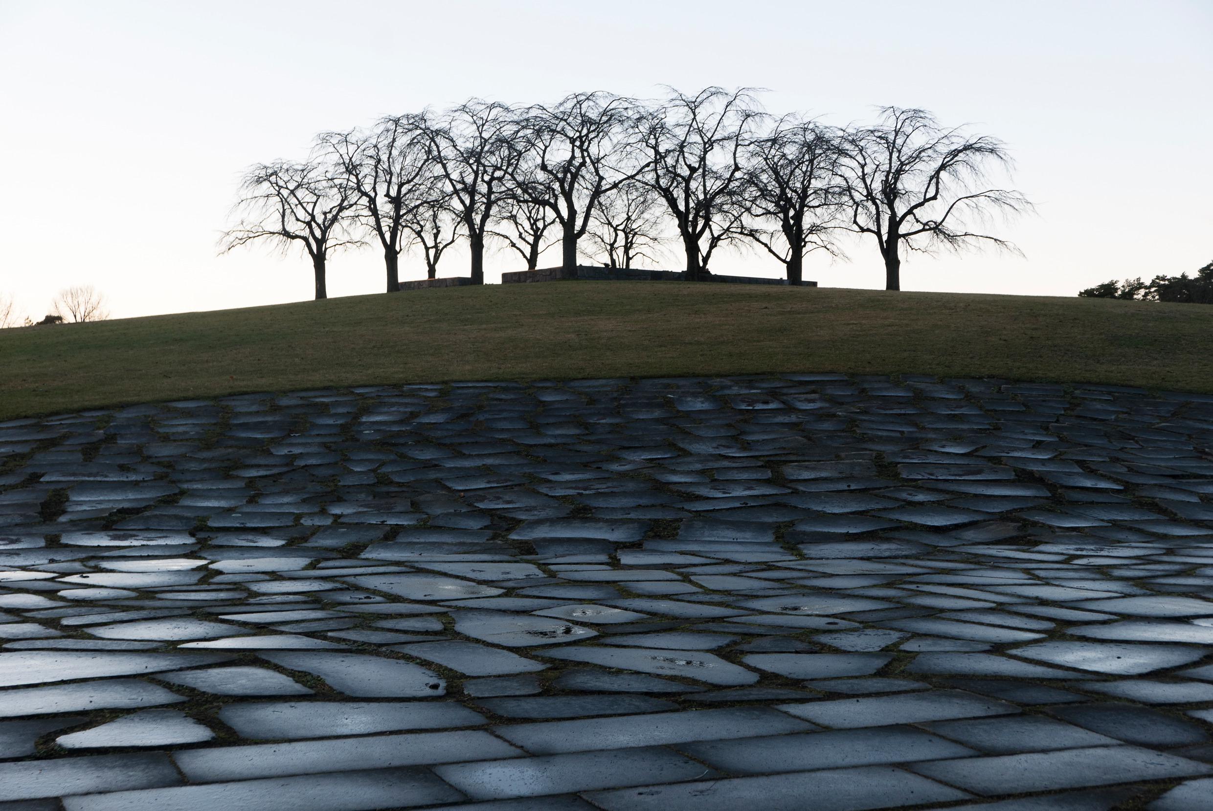 Arbres au sommet d'une colline au cimetière boisé.