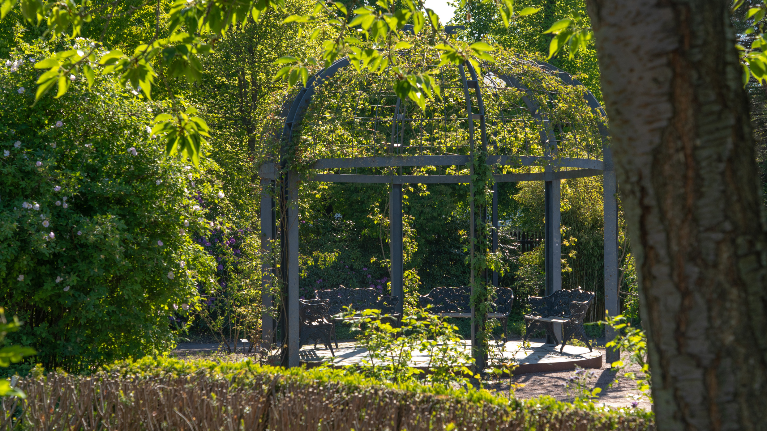 The Garden Society, Gothenburg