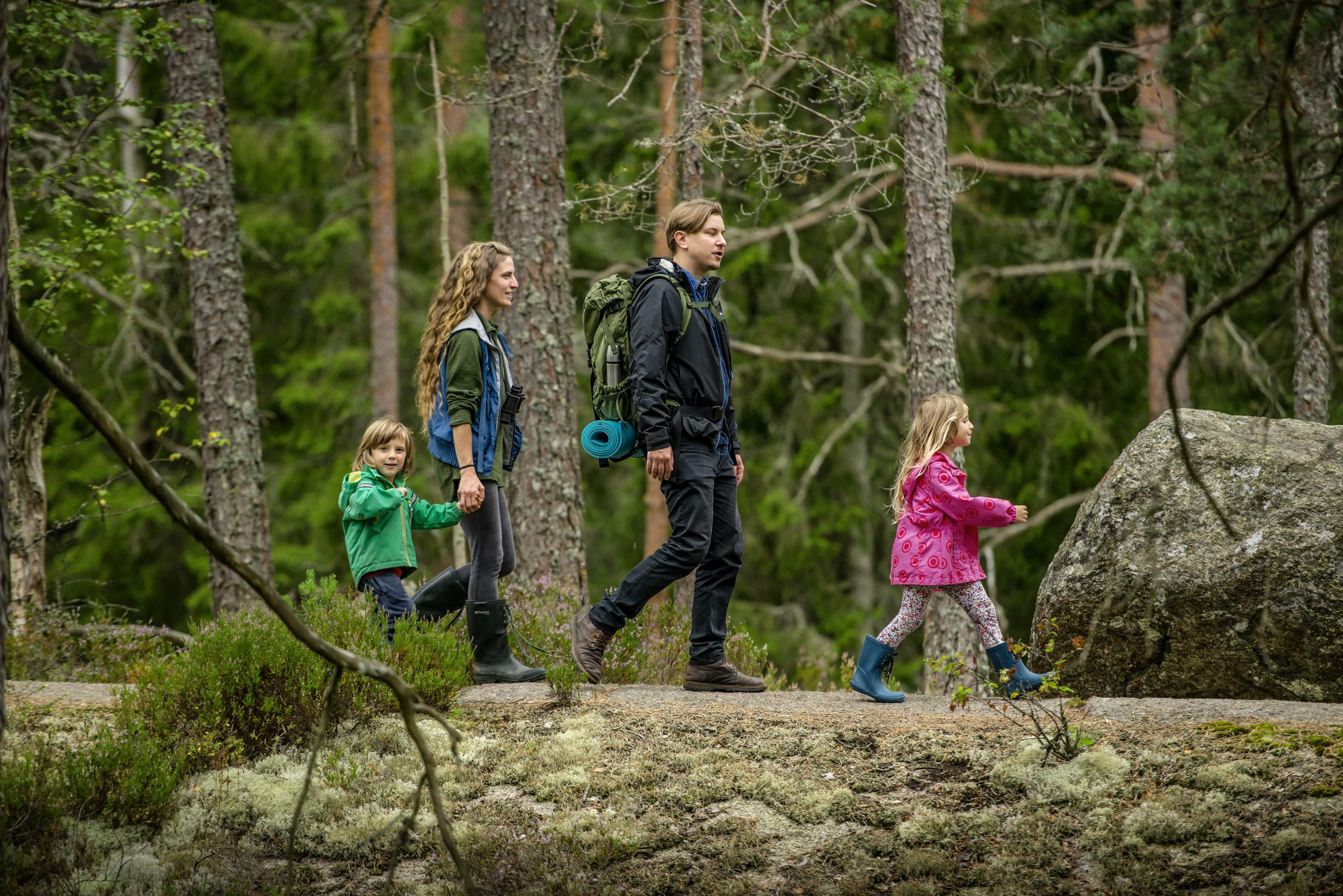 Nationalpark Tiveden